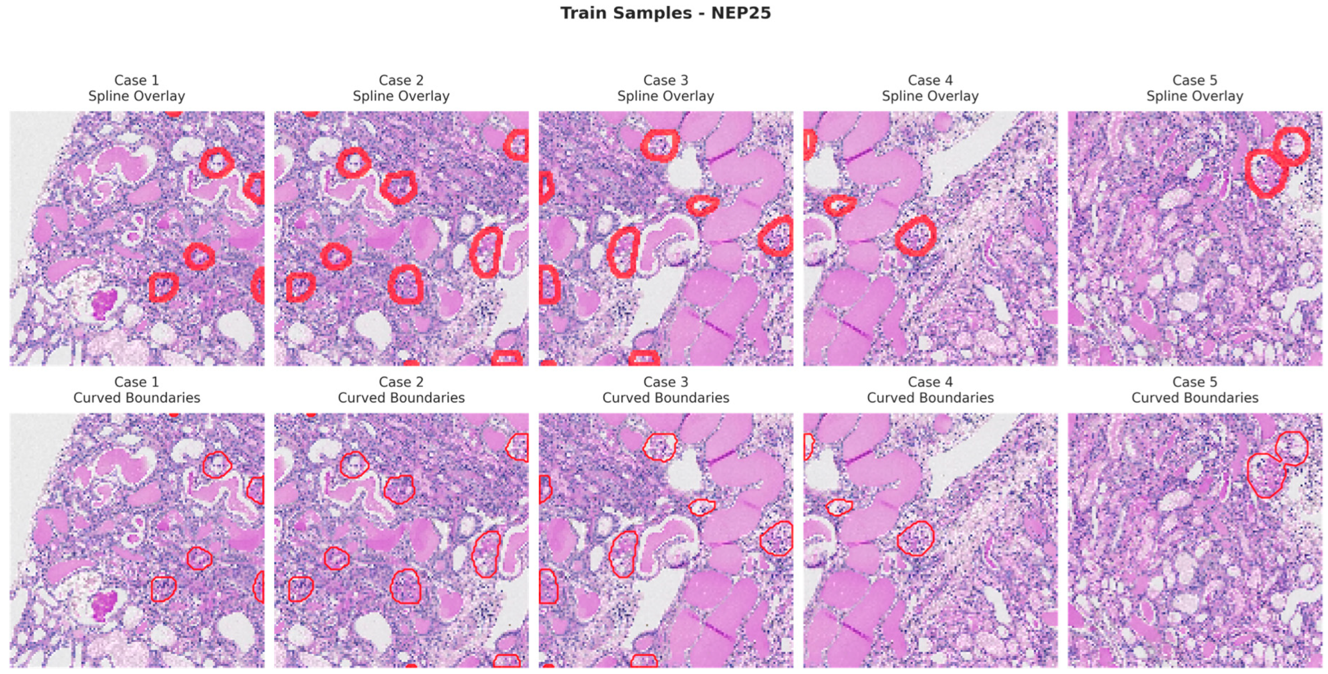Bioengineering 13 00376 g007