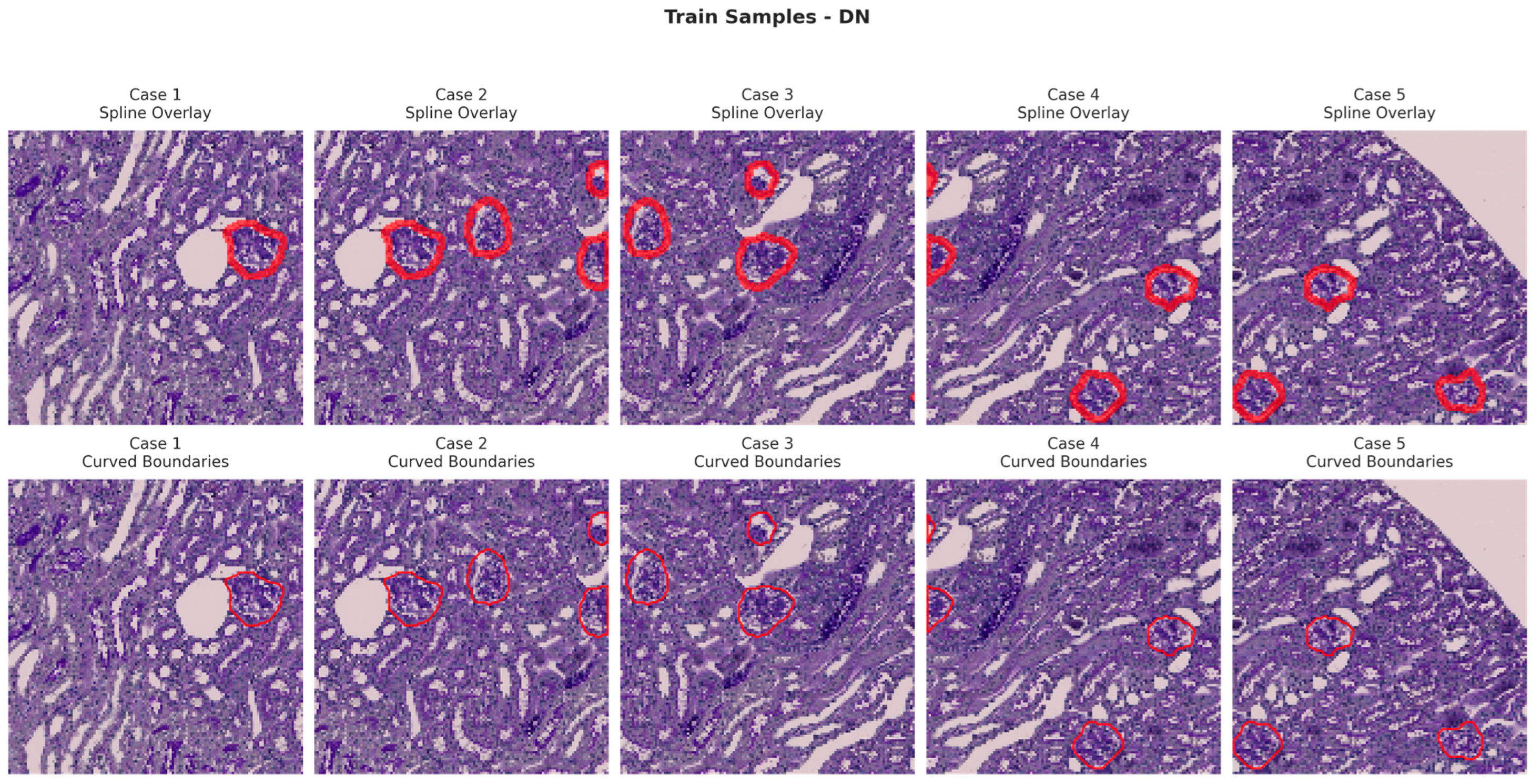 Bioengineering 13 00376 g008