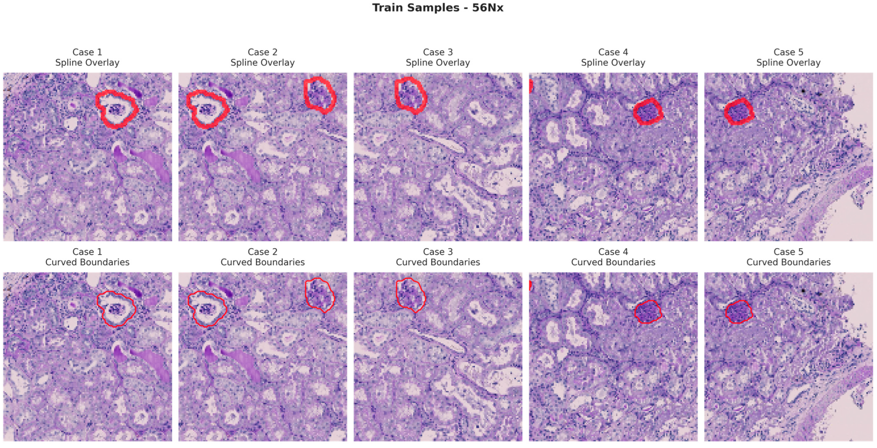 Bioengineering 13 00376 g009