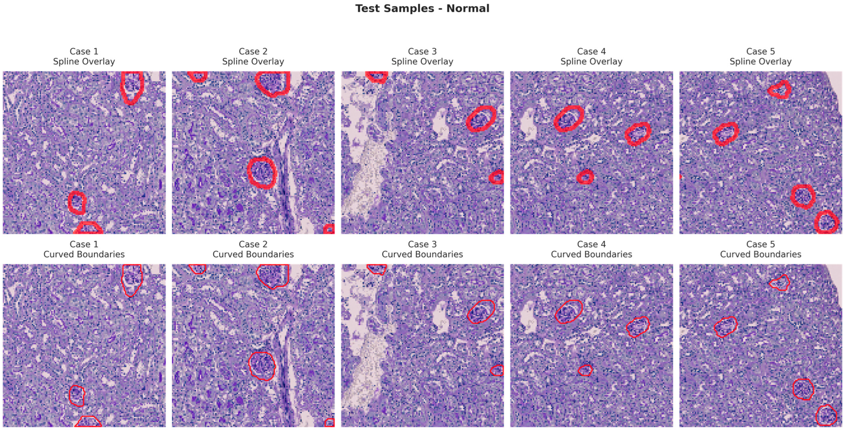 Bioengineering 13 00376 g010