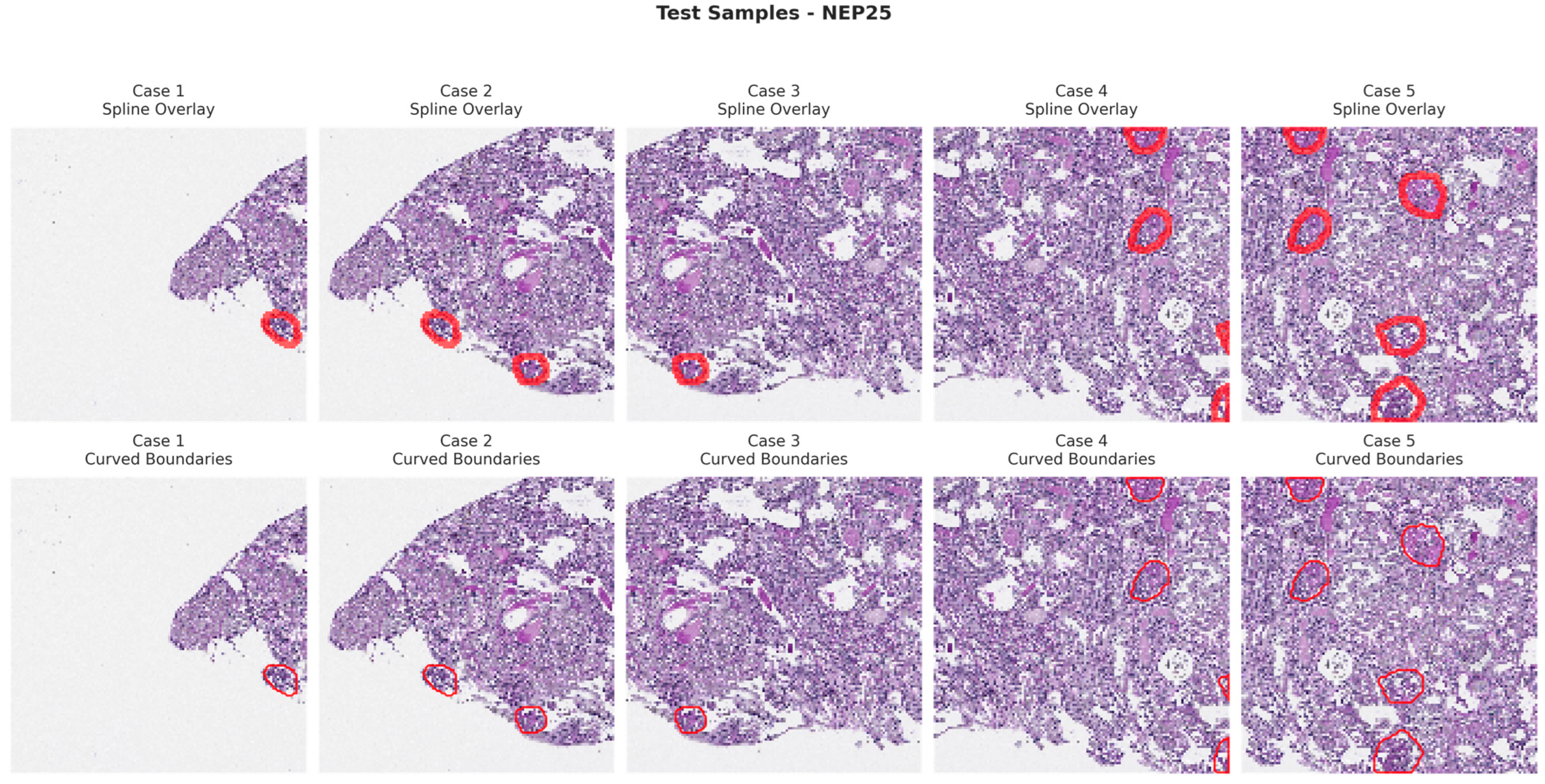 Bioengineering 13 00376 g011