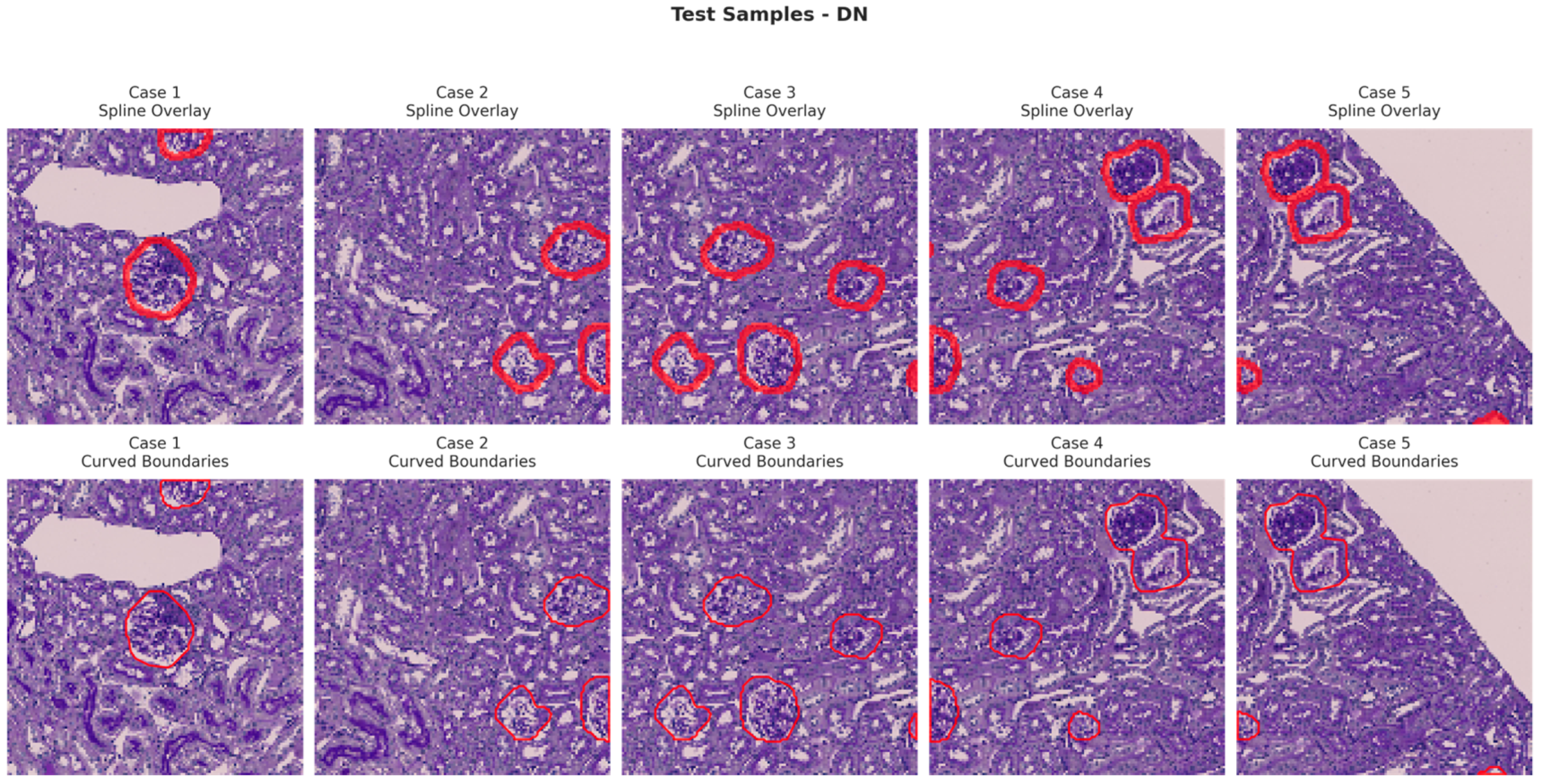 Bioengineering 13 00376 g012