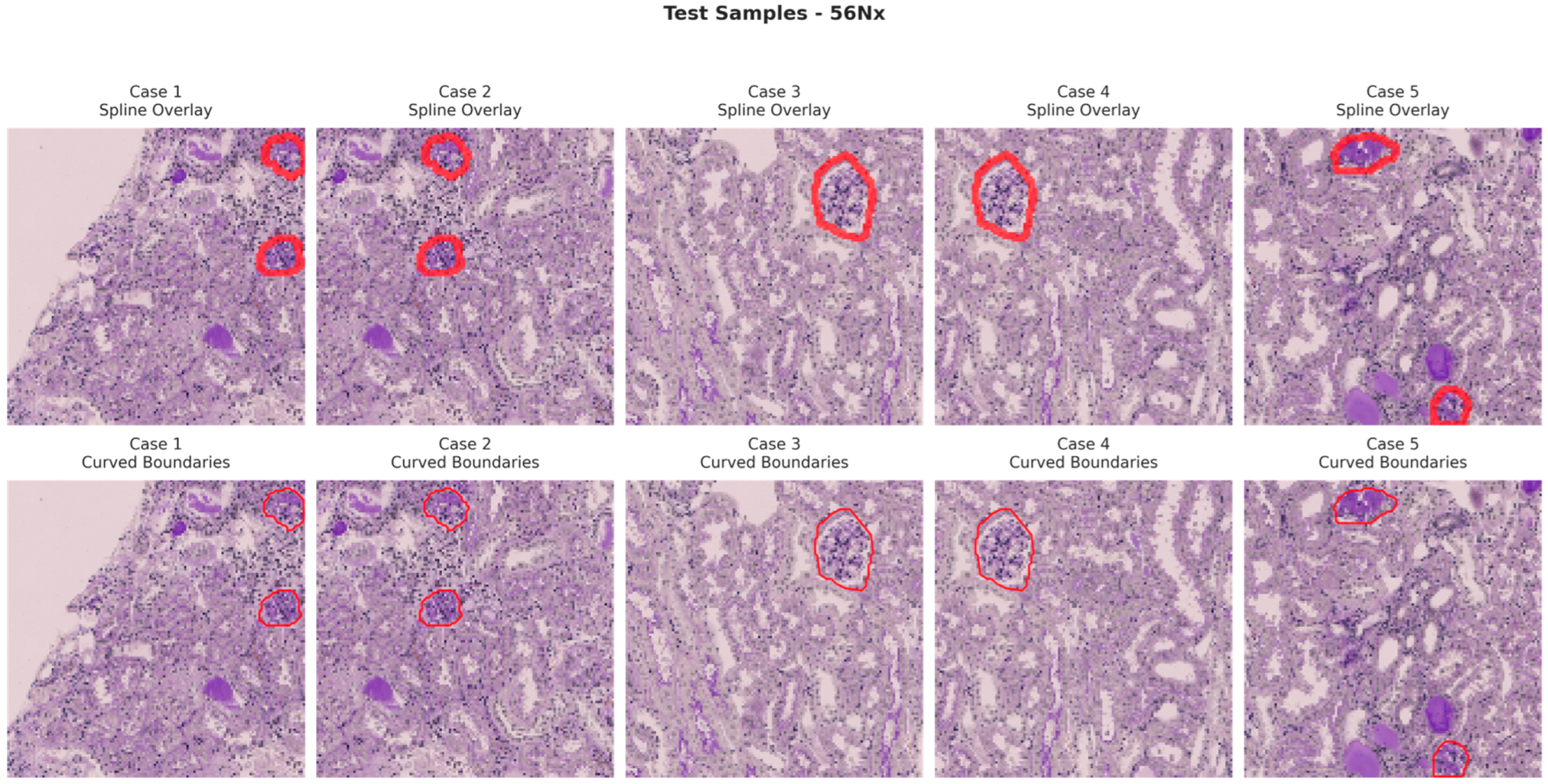 Bioengineering 13 00376 g013