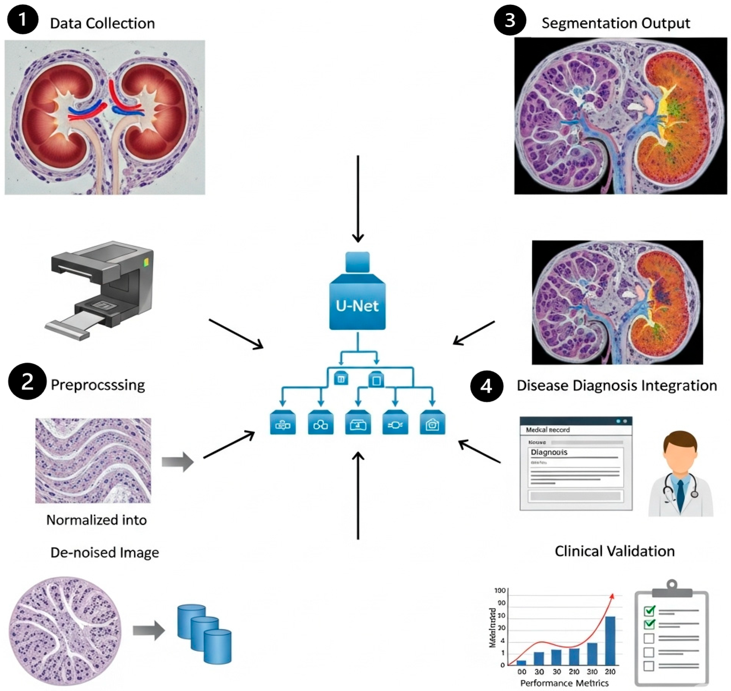 Bioengineering 13 00376 g016