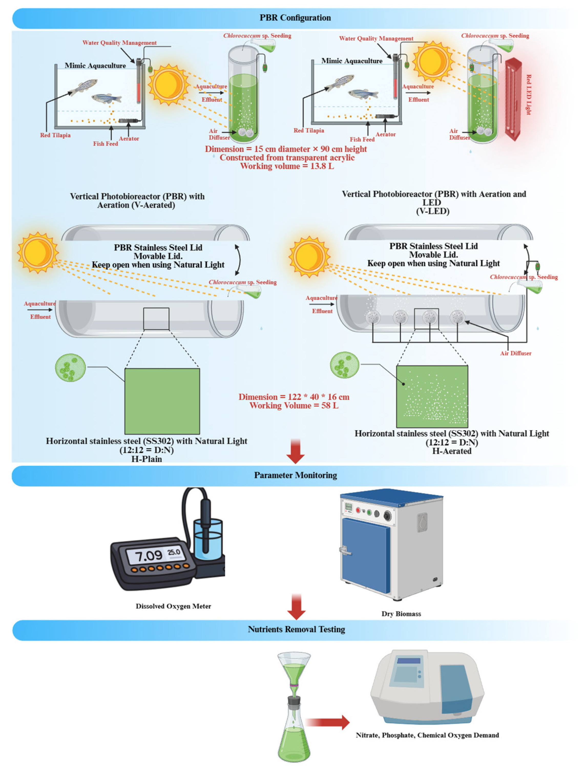 Bioengineering 13 00388 g001 Bioengineering 13 00388 g001
