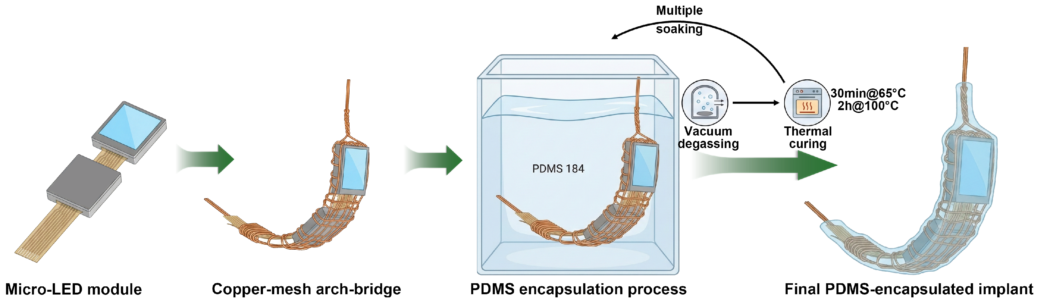 Bioengineering 13 00397 g003 Bioengineering 13 00397 g003