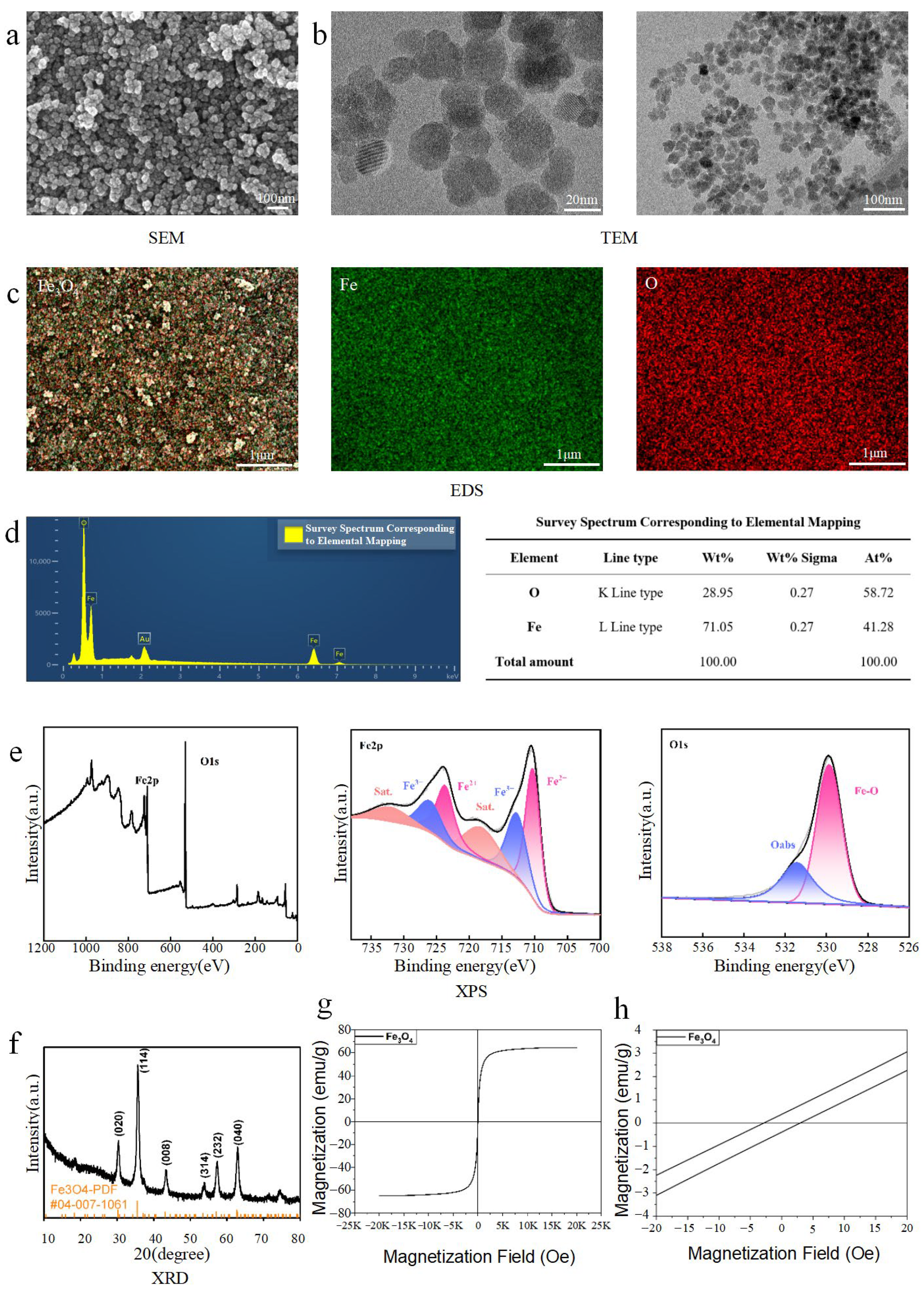 Bioengineering 13 00402 g001 Bioengineering 13 00402 g001
