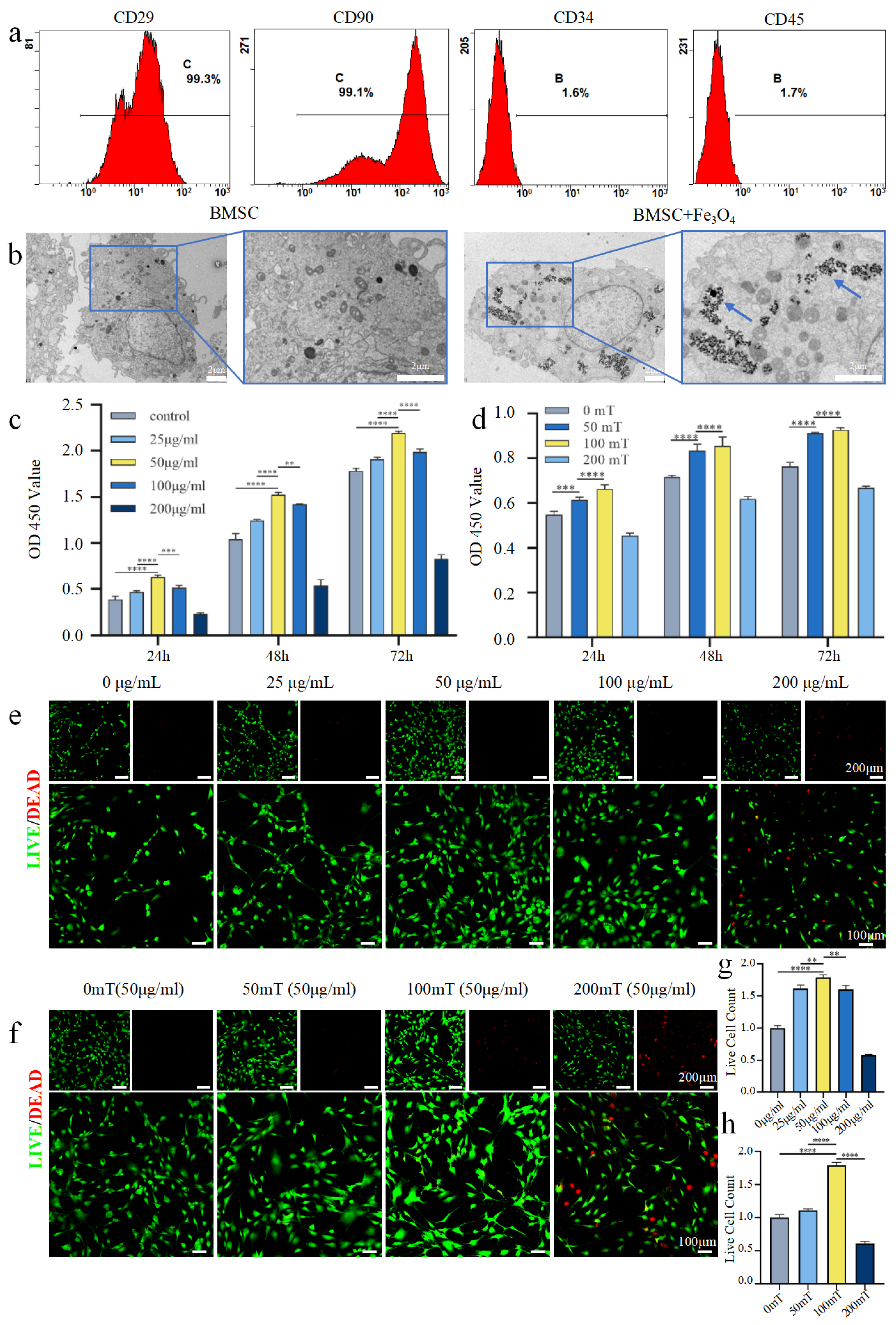 Bioengineering 13 00402 g002 Bioengineering 13 00402 g002