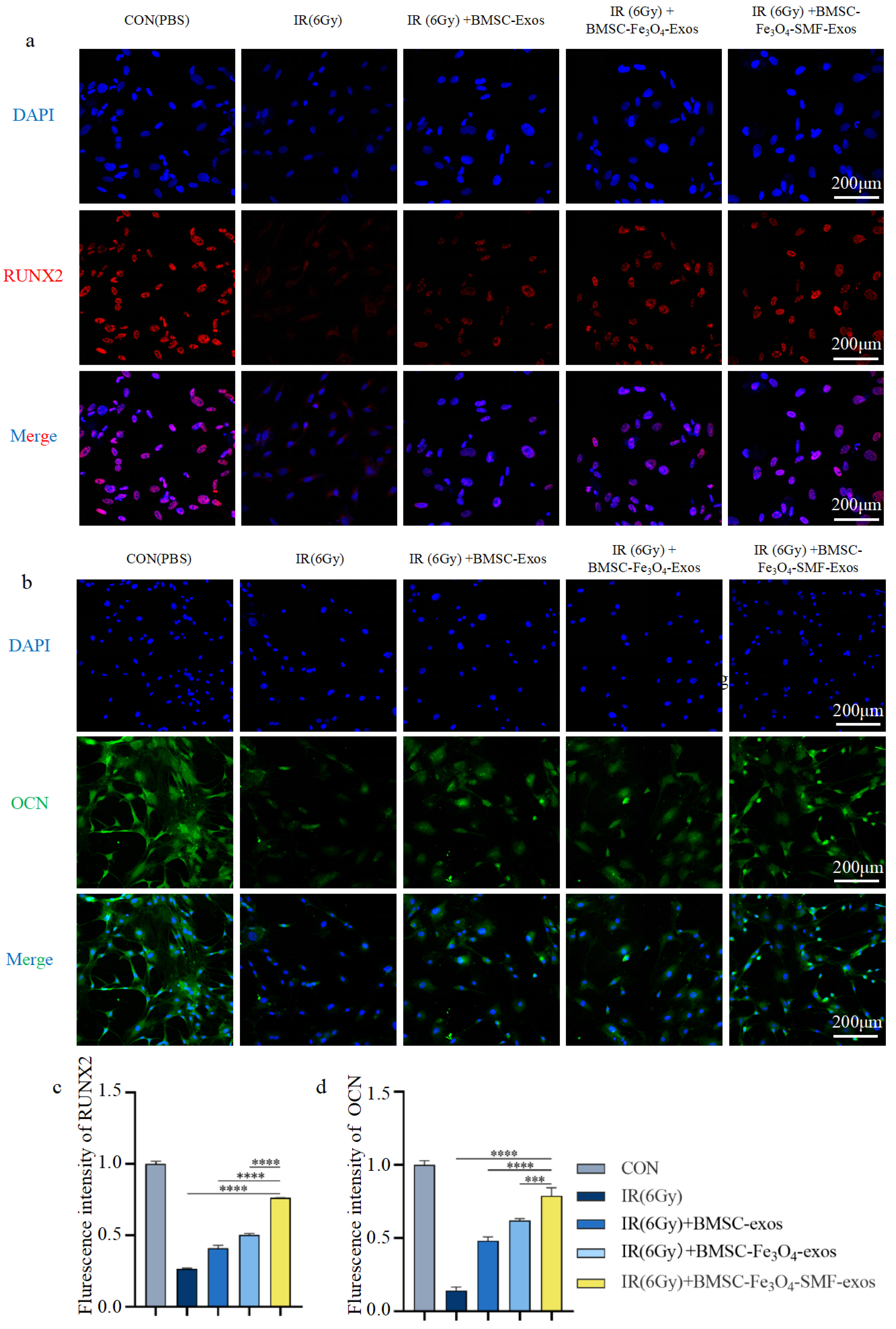 Bioengineering 13 00402 g005 Bioengineering 13 00402 g005