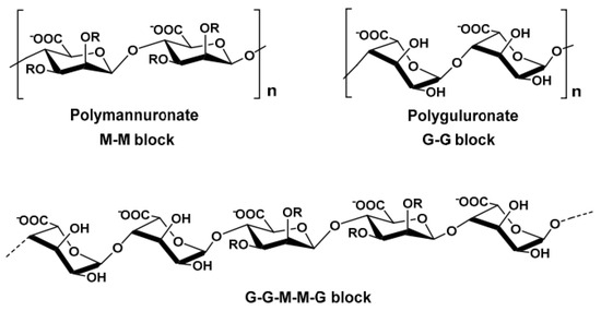 Bioengineering 13 00408 g001