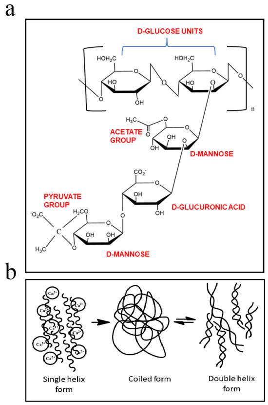 Bioengineering 13 00408 g003