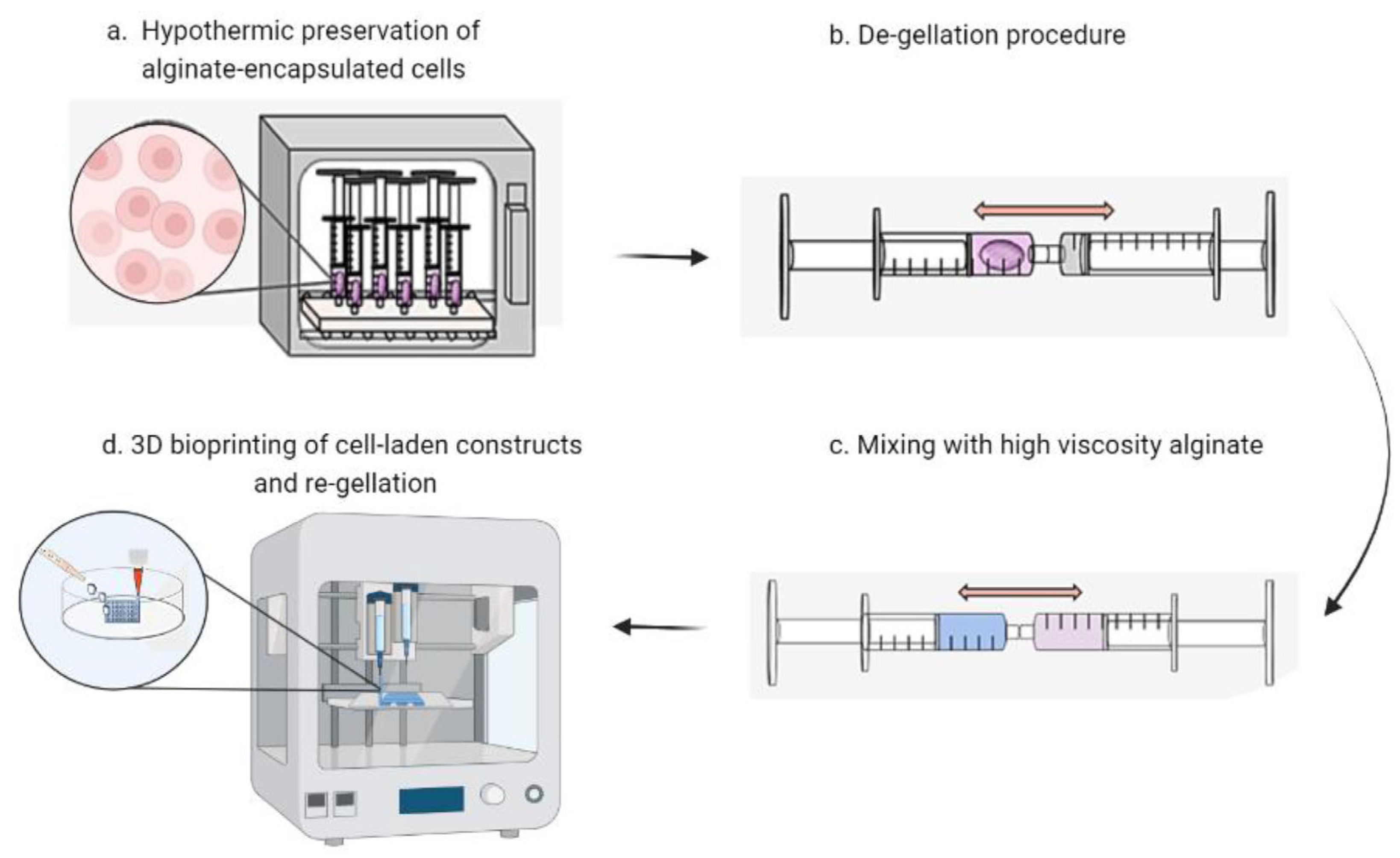 Bioengineering 13 00408 g017 Bioengineering 13 00408 g017