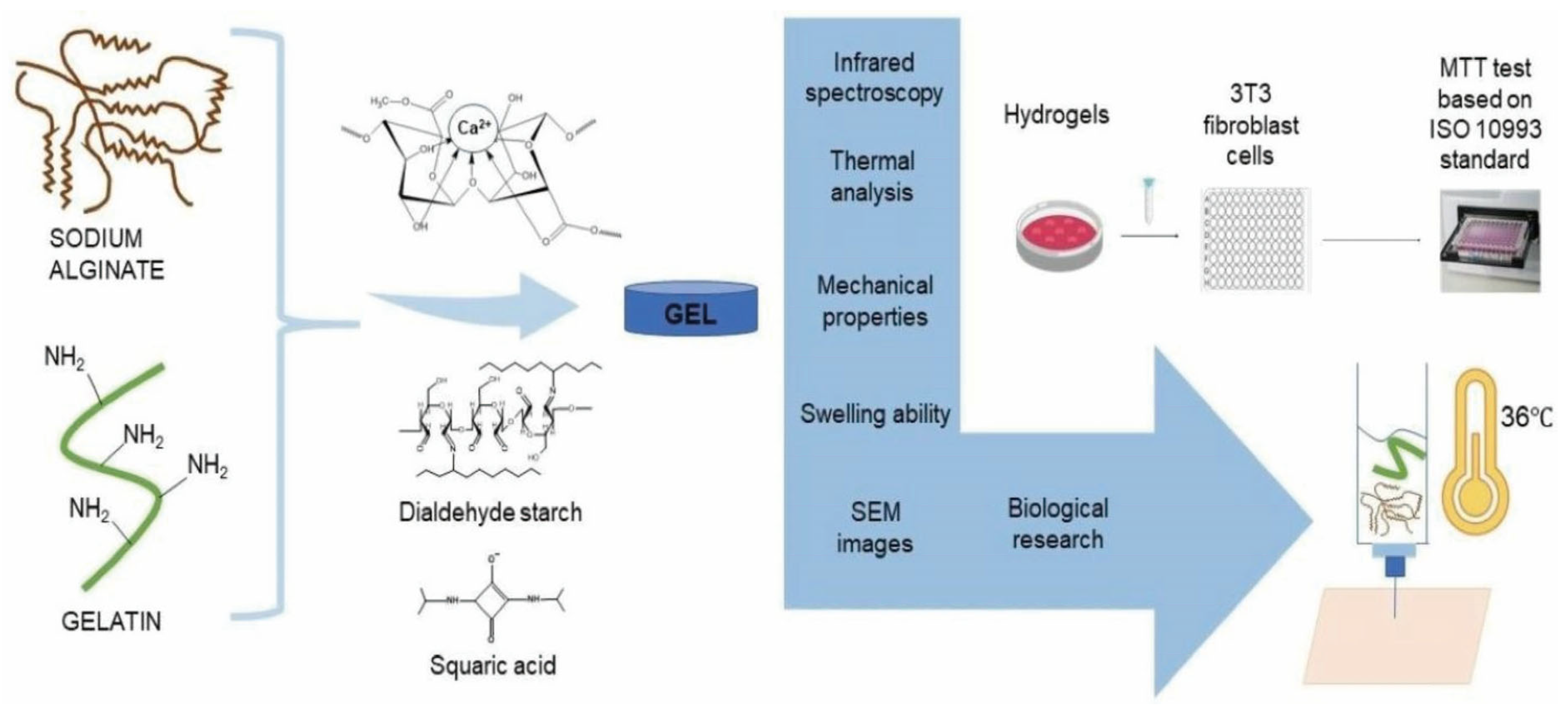 Bioengineering 13 00408 g018 Bioengineering 13 00408 g018
