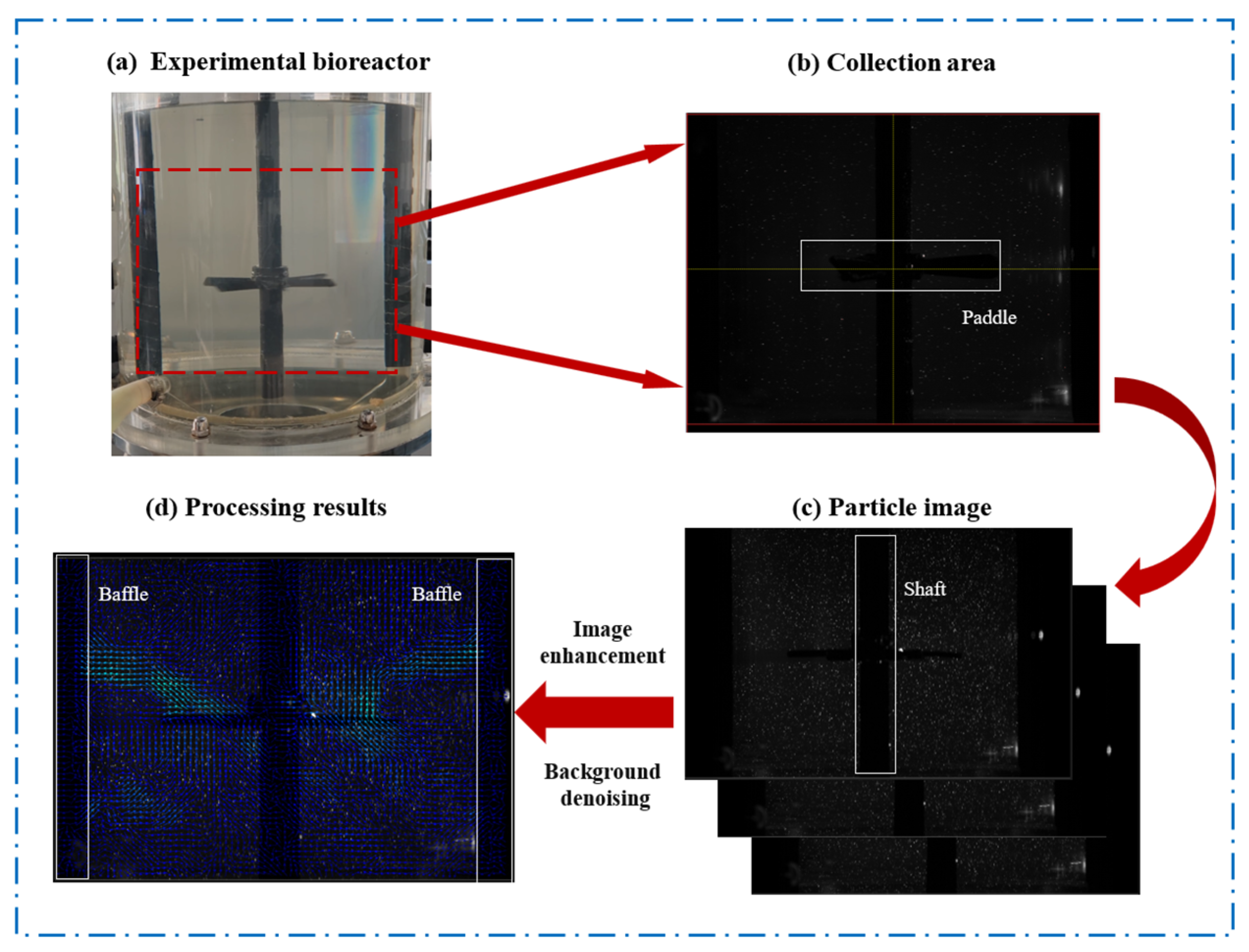 Bioengineering 13 00415 g003 Bioengineering 13 00415 g003