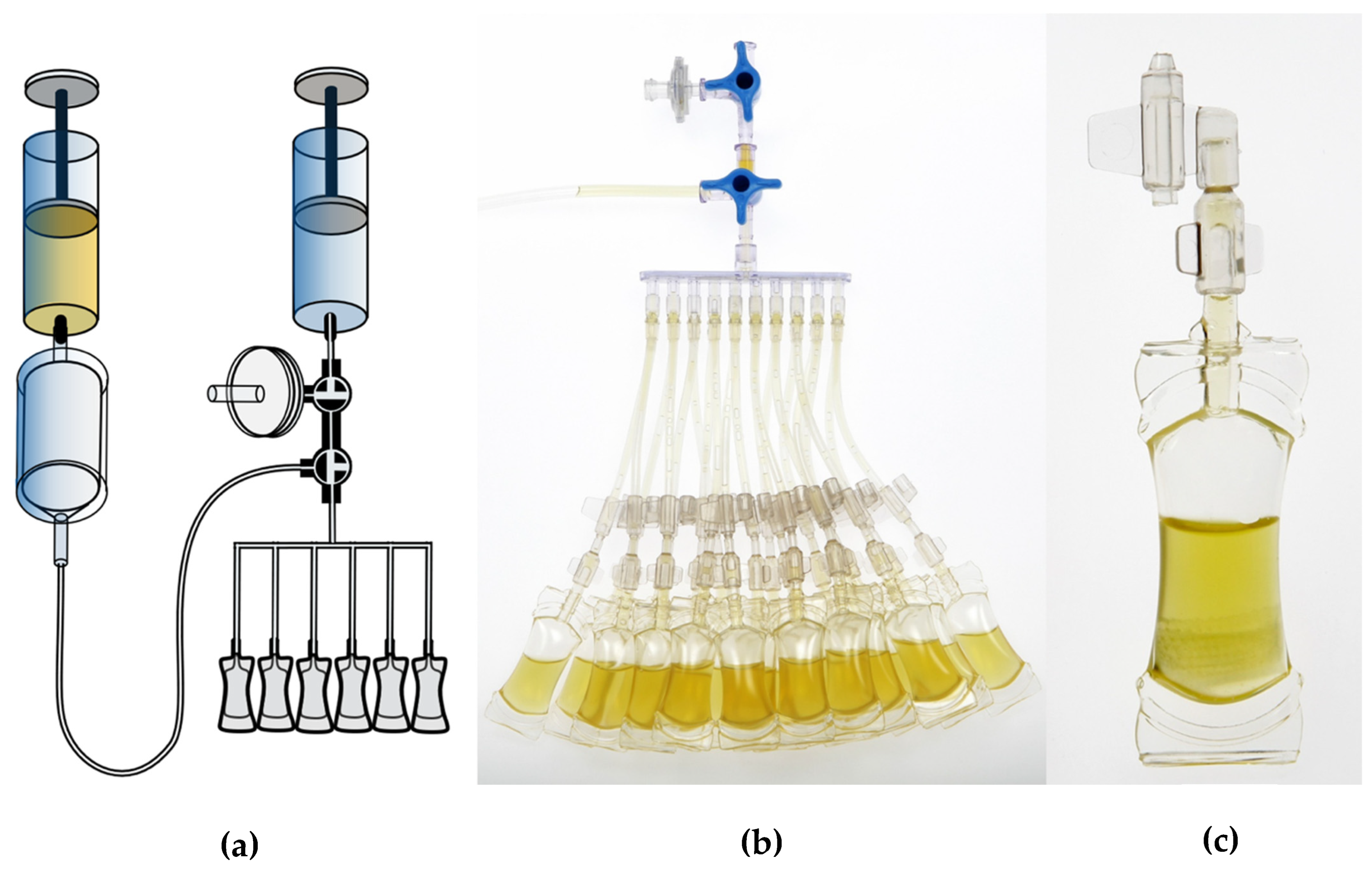Bioengineering 13 00417 g001 Bioengineering 13 00417 g001