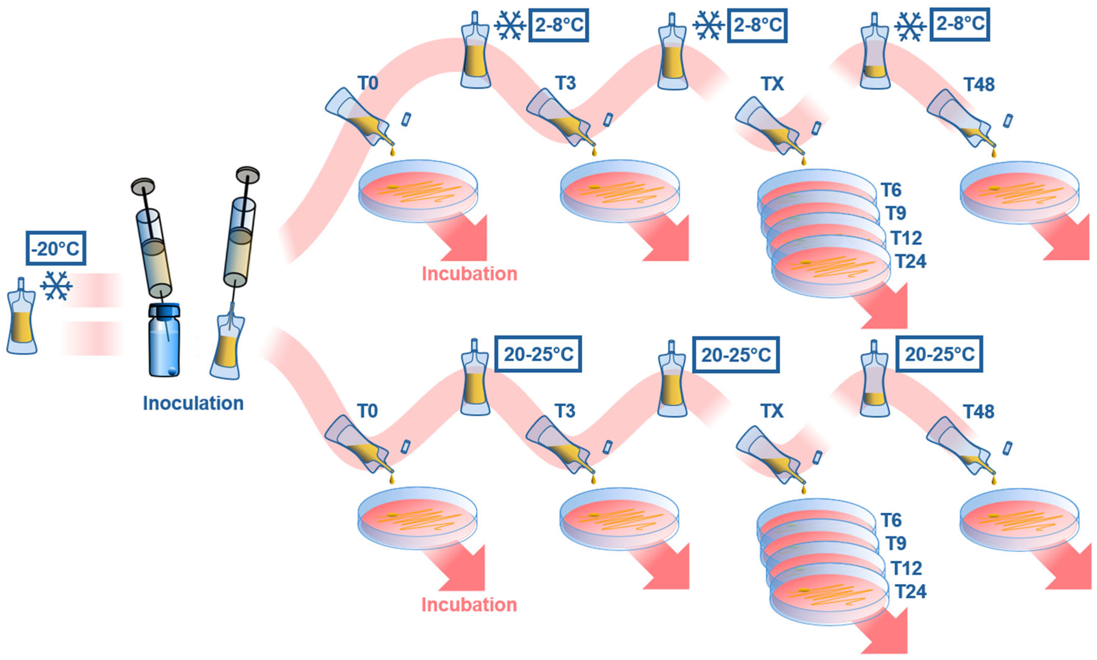 Bioengineering 13 00417 g003 Bioengineering 13 00417 g003