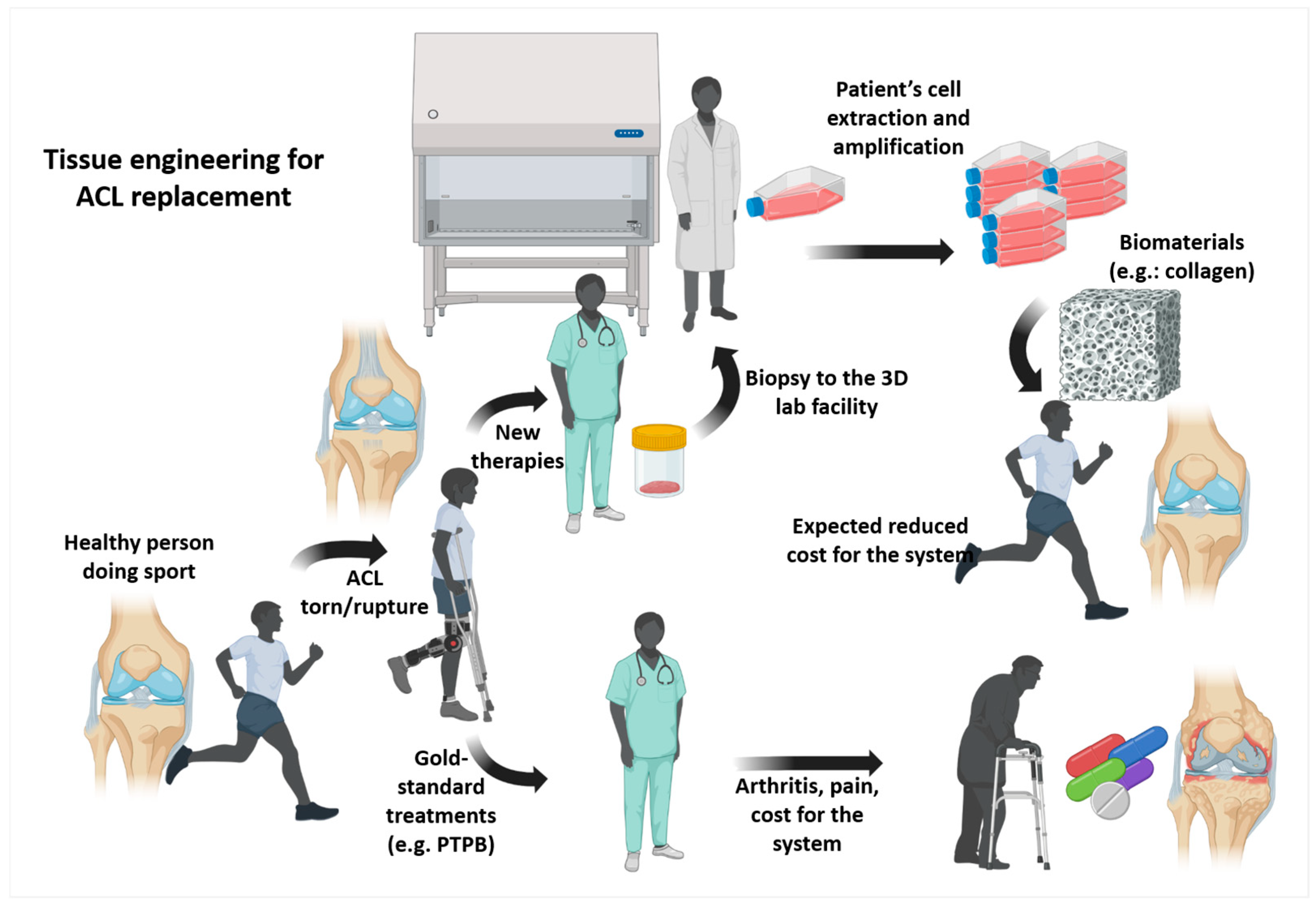 Bioengineering 13 00442 g002 Bioengineering 13 00442 g002