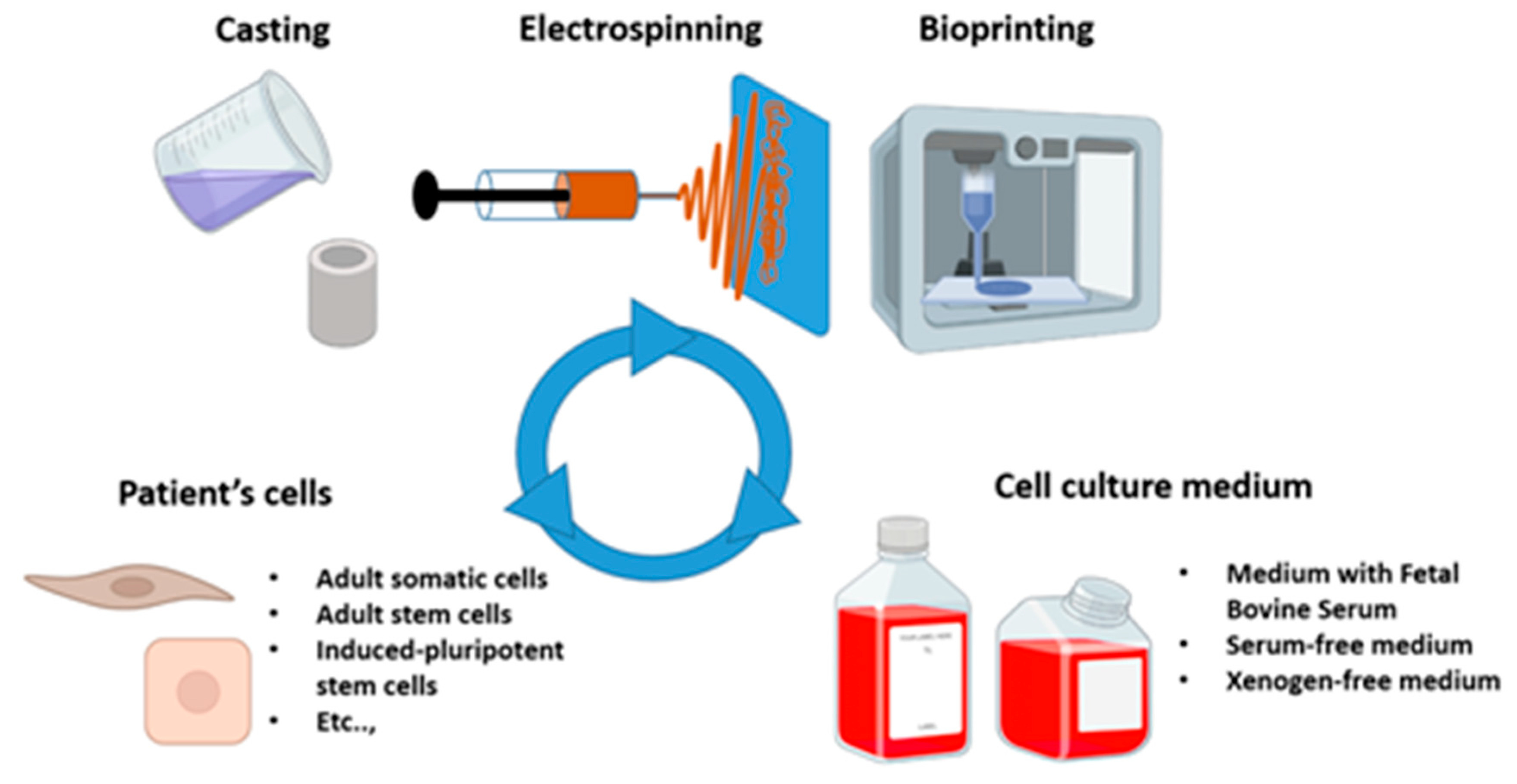 Bioengineering 13 00442 g003 Bioengineering 13 00442 g003