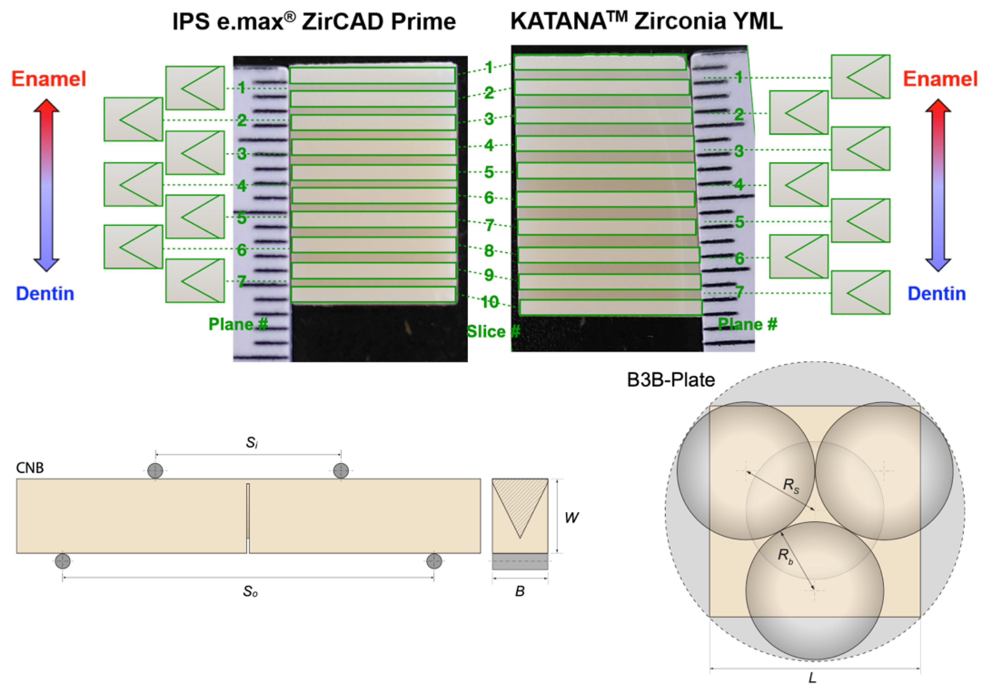 Bioengineering 13 00462 g001 Bioengineering 13 00462 g001
