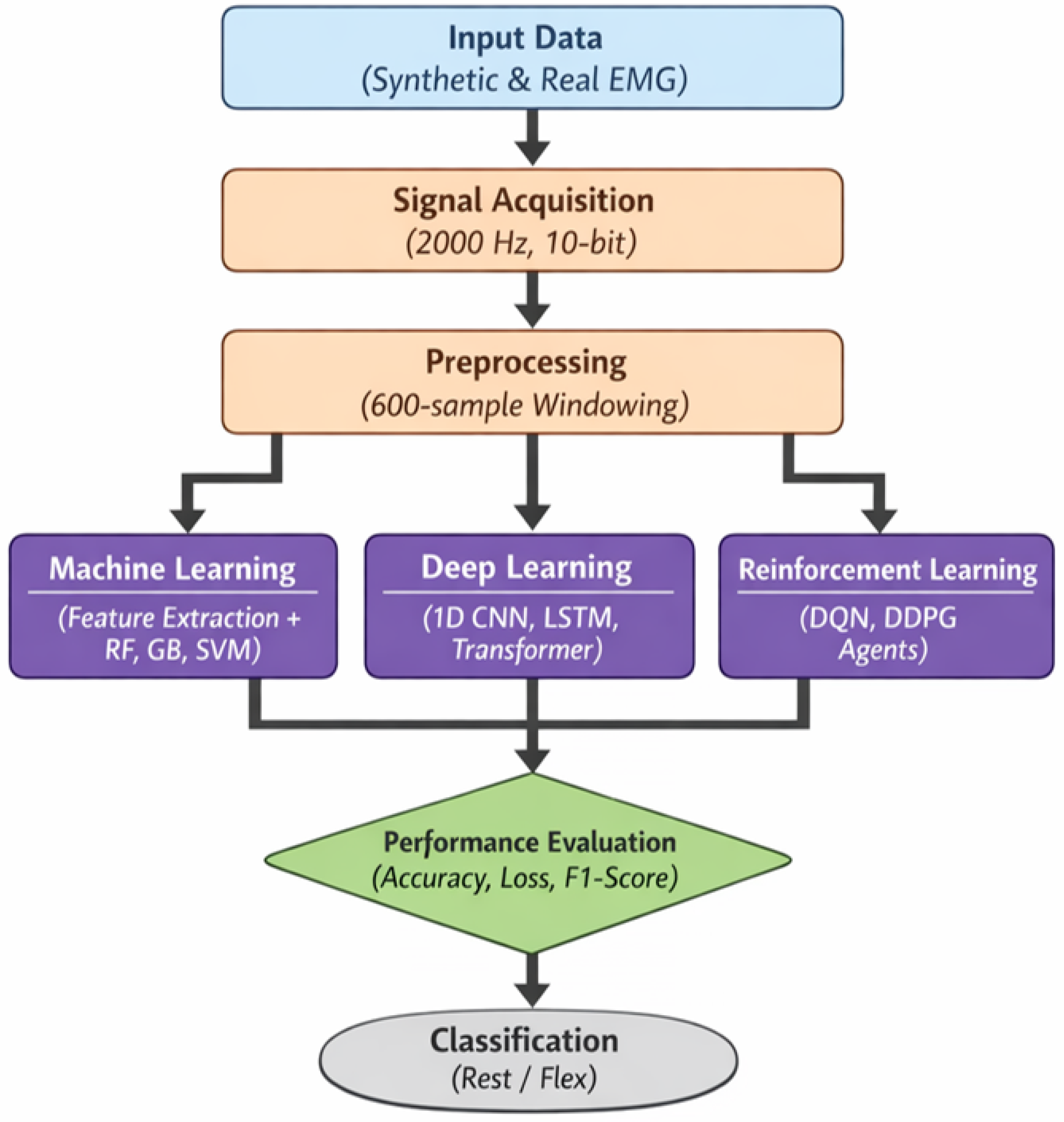 Bioengineering 13 00463 g001 Bioengineering 13 00463 g001