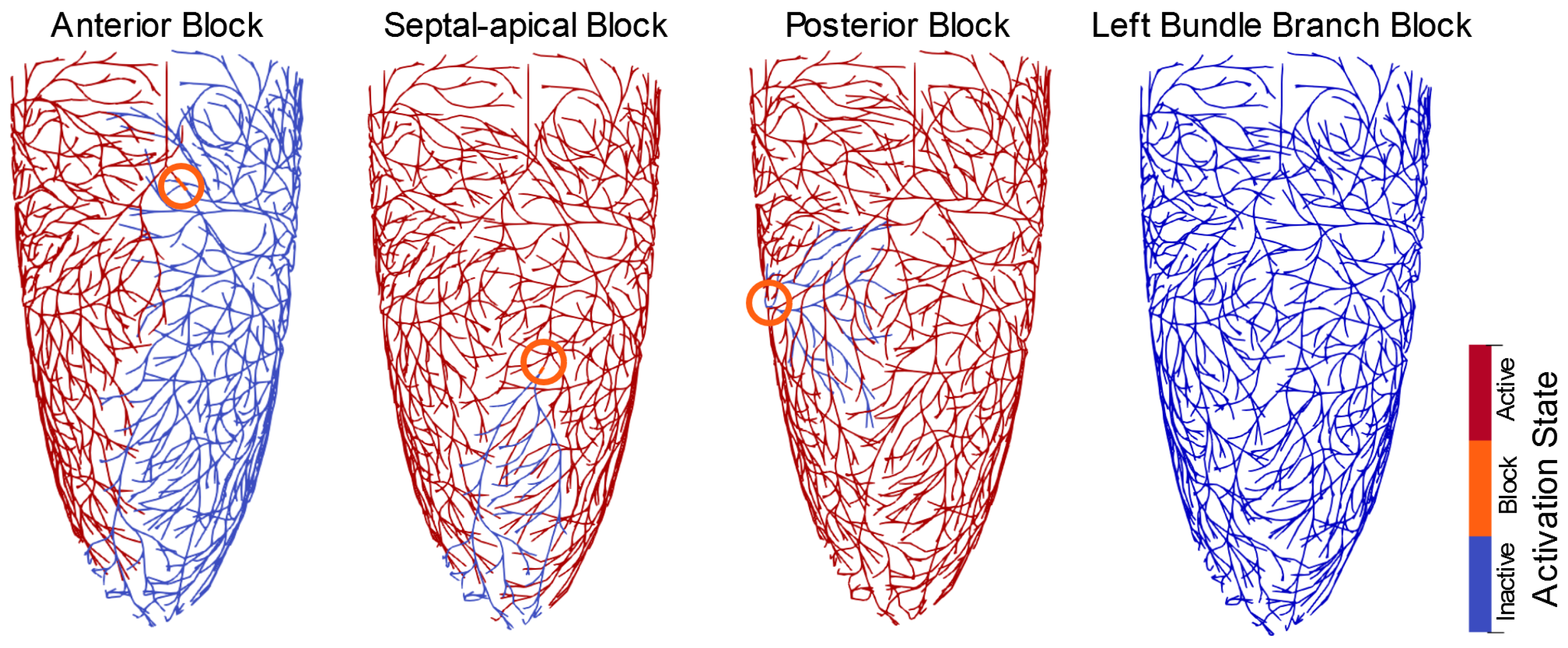 Bioengineering 13 00464 g003 Bioengineering 13 00464 g003
