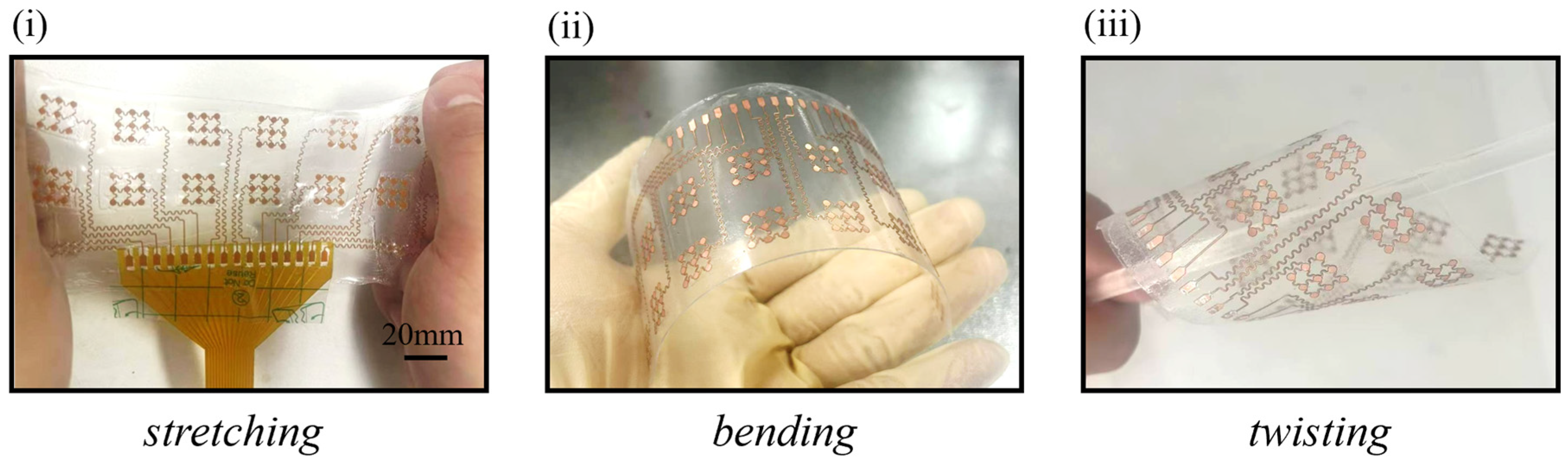 Bioengineering 13 00467 g006 Bioengineering 13 00467 g006
