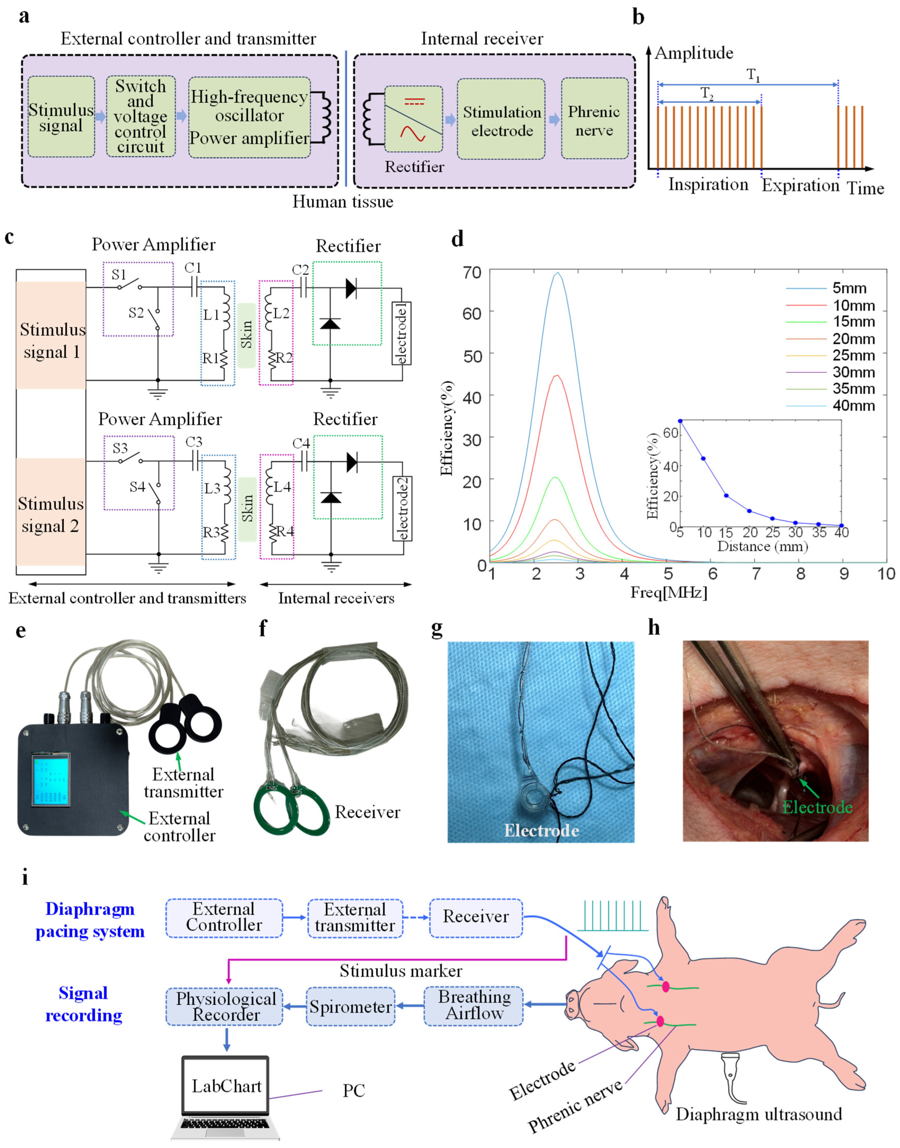 Bioengineering 13 00469 g001 Bioengineering 13 00469 g001