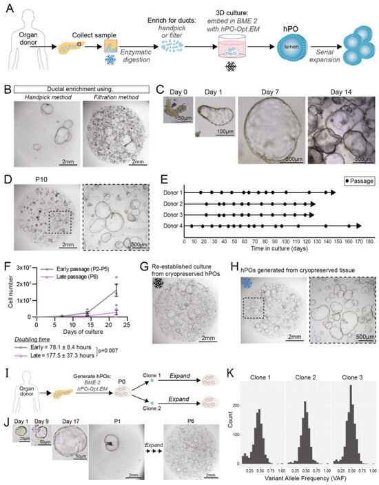 Bioengineering 13 00478 g001
