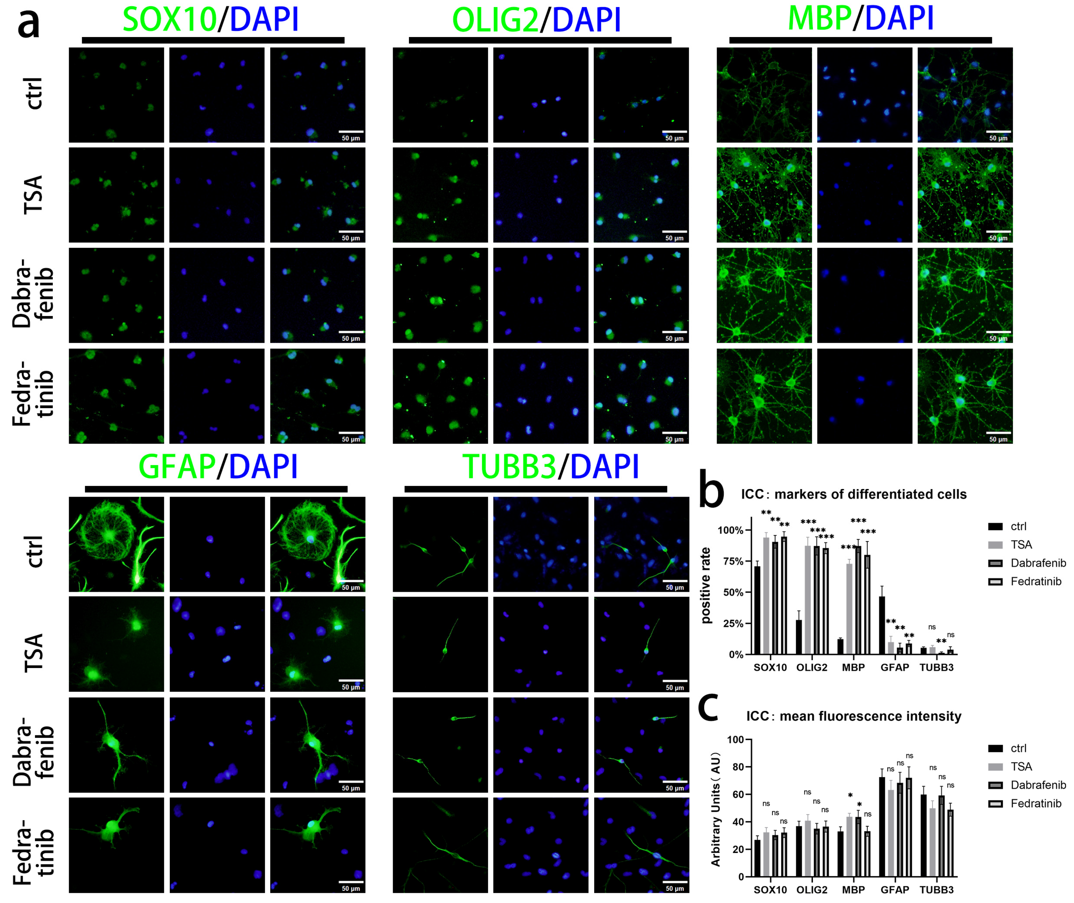 Bioengineering 13 00500 g009 Bioengineering 13 00500 g009