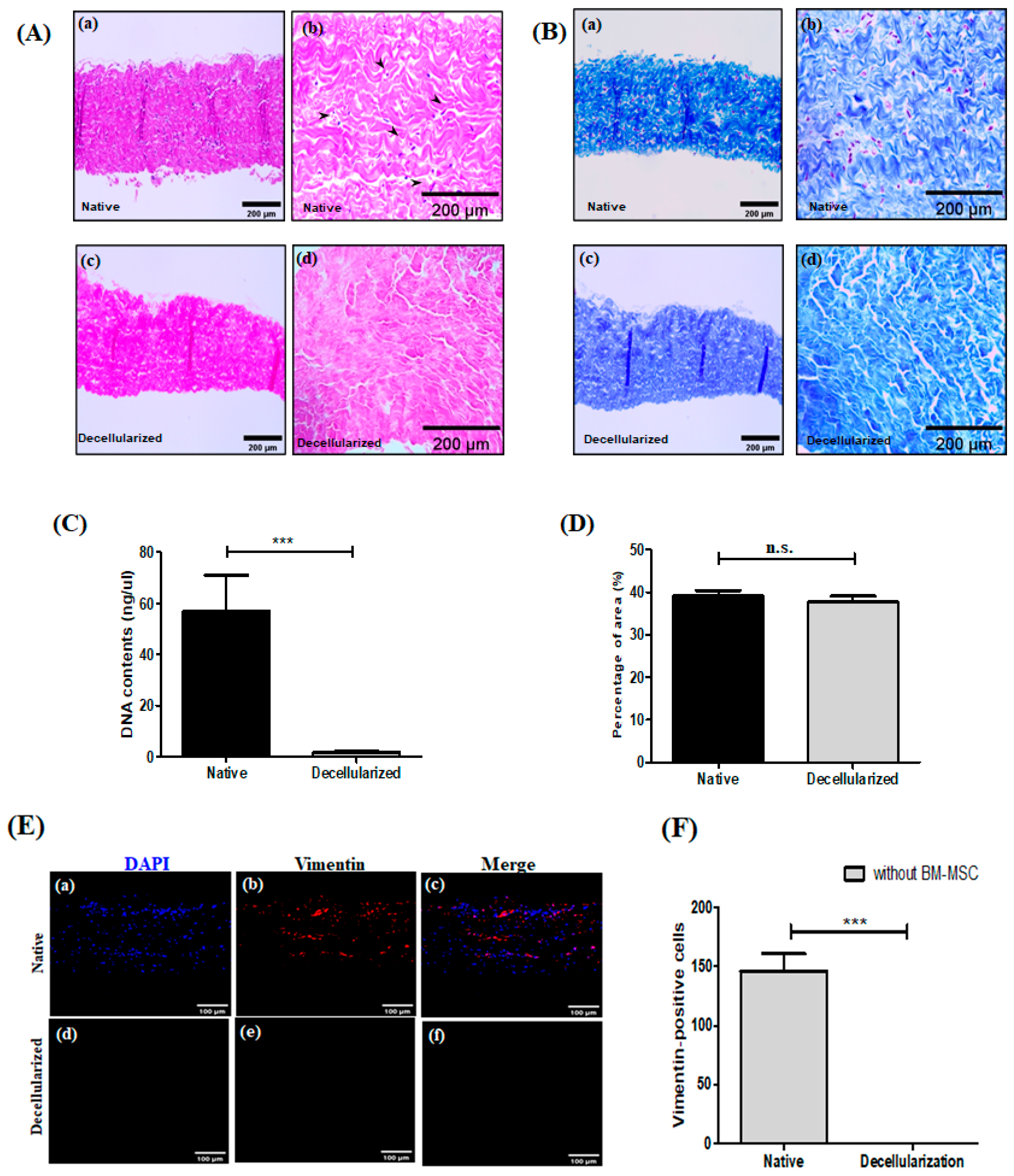 Bioengineering 13 00546 g001 Bioengineering 13 00546 g001
