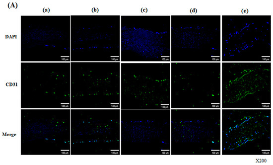 Bioengineering 13 00546 g006a Bioengineering 13 00546 g006a