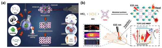 Bioengineering 13 00693 g002