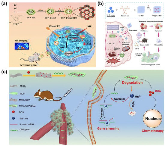 Bioengineering 13 00693 g003