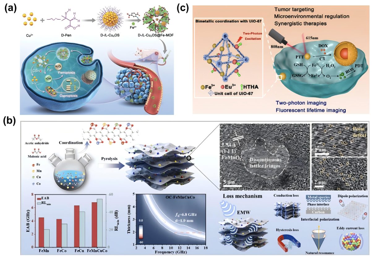 Bioengineering 13 00693 g005 Bioengineering 13 00693 g005