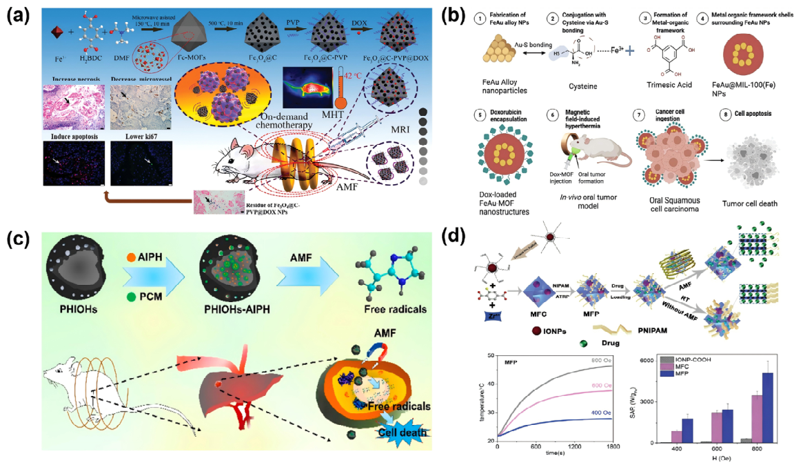 Bioengineering 13 00693 g010 Bioengineering 13 00693 g010