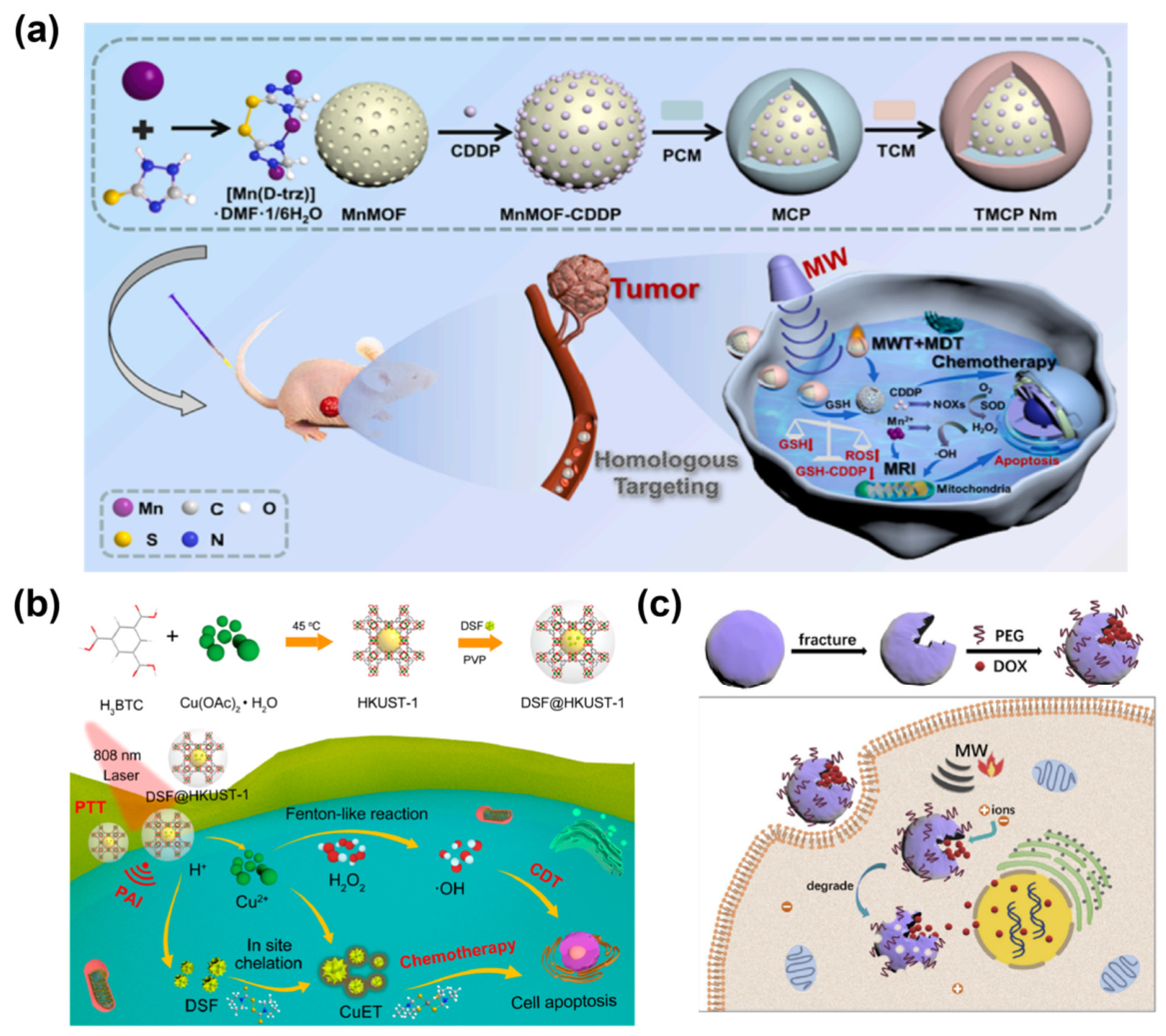 Bioengineering 13 00693 g011 Bioengineering 13 00693 g011