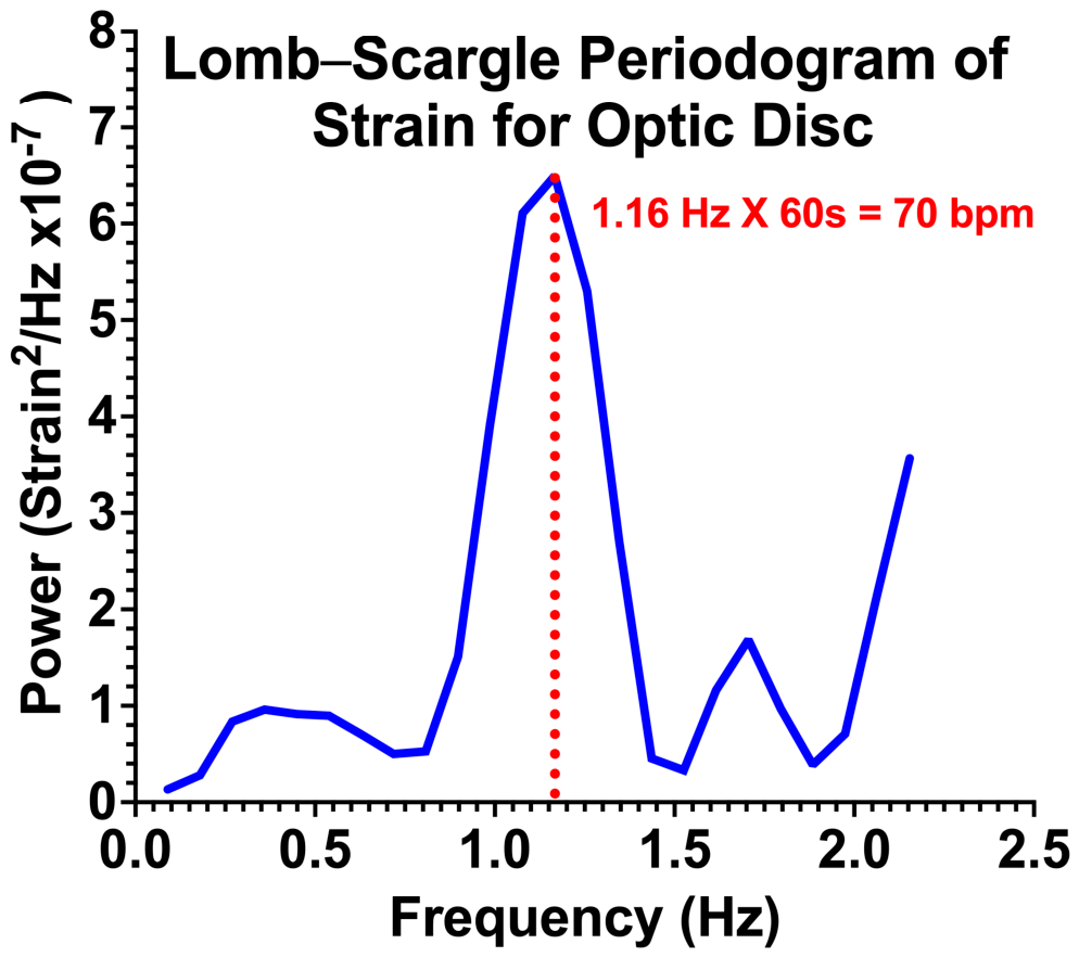 Bioengineering 13 00725 g004 Bioengineering 13 00725 g004