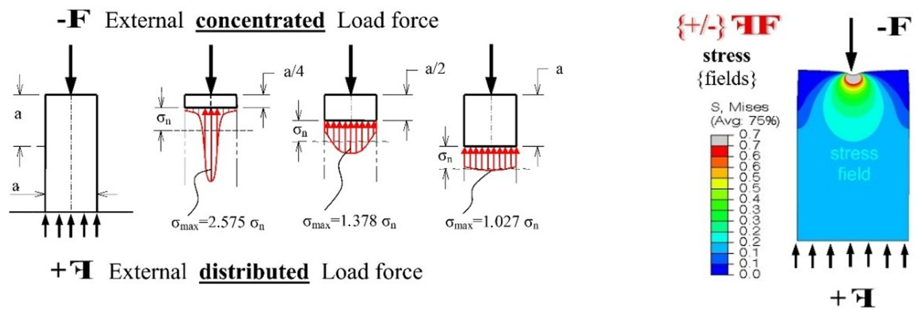 Bioengineering 13 00758 g002 Bioengineering 13 00758 g002