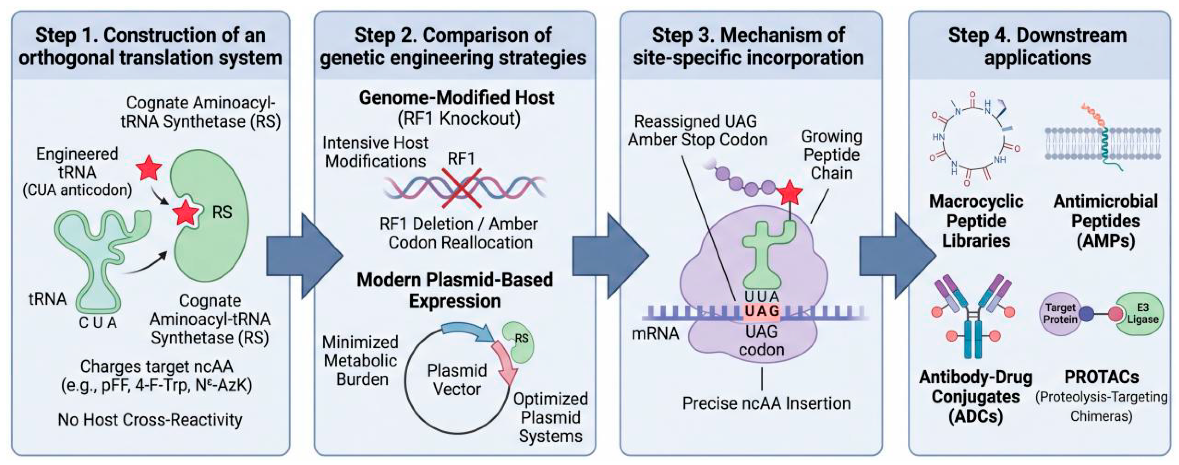 Bioengineering 13 00767 g003 Bioengineering 13 00767 g003