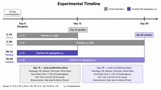 Bioengineering 13 00768 g001