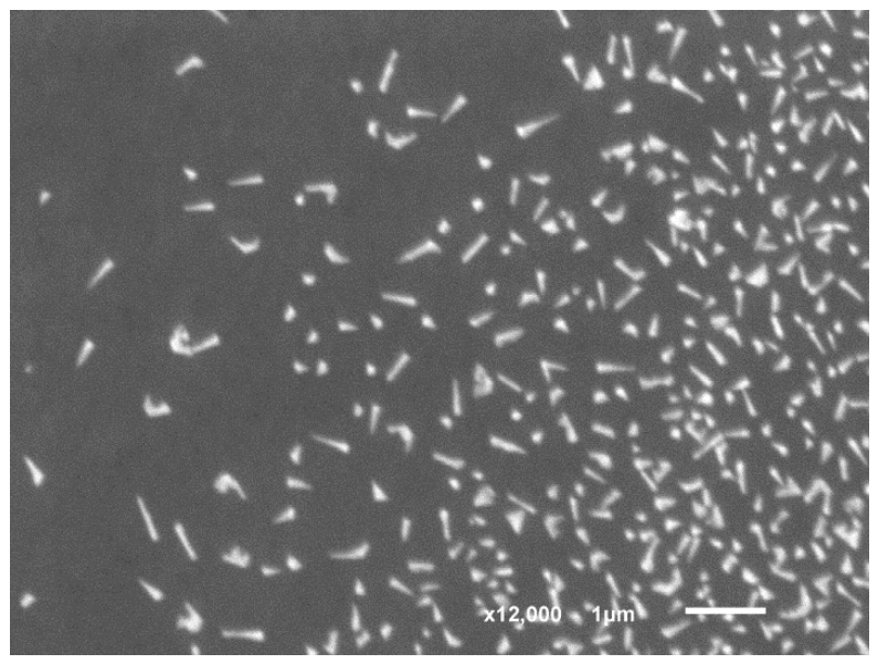 Bioengineering 13 00812 g003 Bioengineering 13 00812 g003