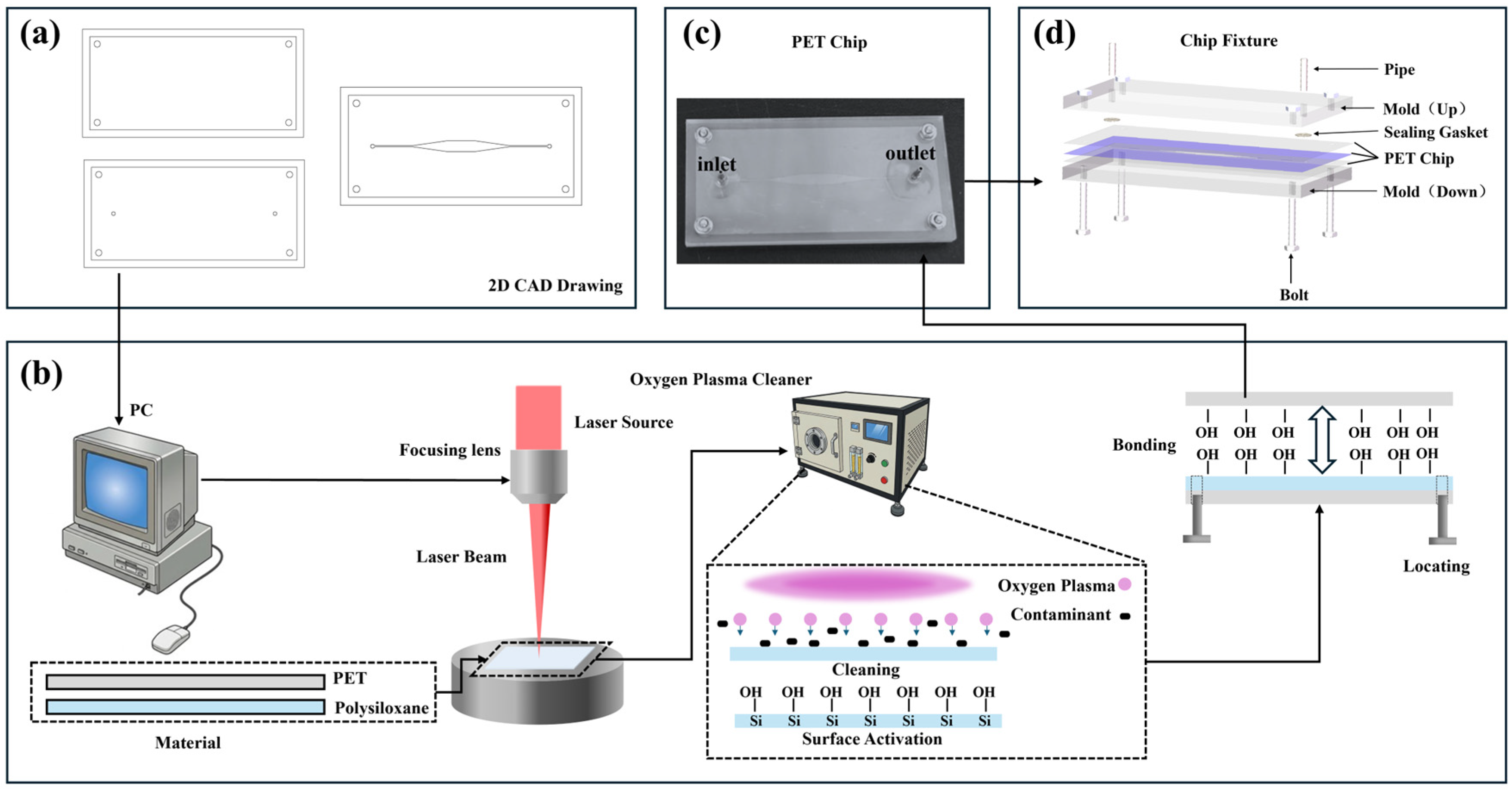 Bioengineering 13 00813 g001 Bioengineering 13 00813 g001