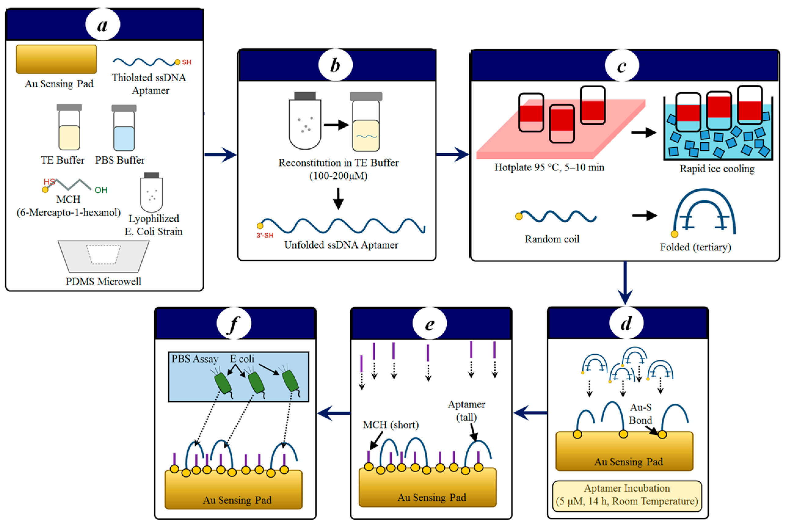 Bioengineering 13 00858 g001 Bioengineering 13 00858 g001