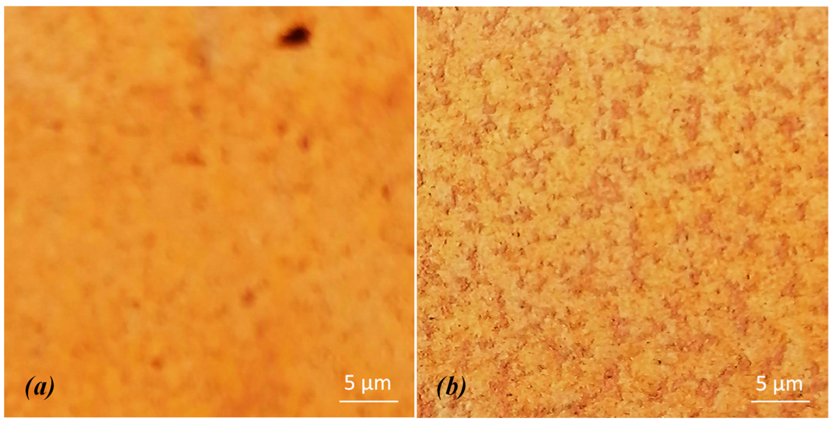 Bioengineering 13 00858 g004 Bioengineering 13 00858 g004
