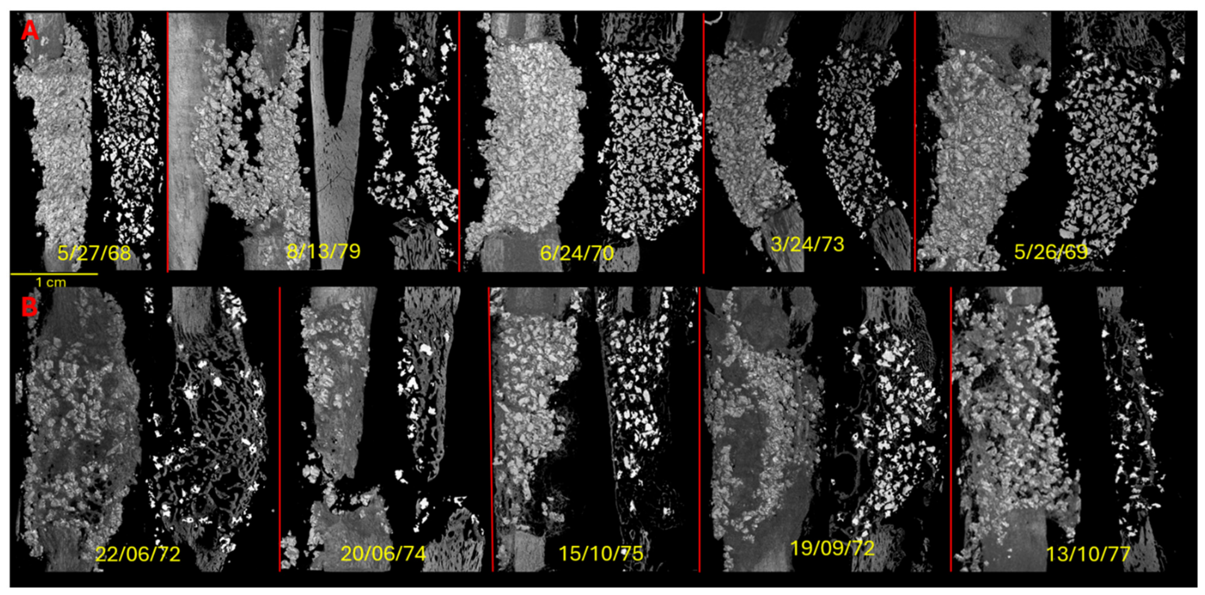 Bioengineering 13 00888 g001 Bioengineering 13 00888 g001