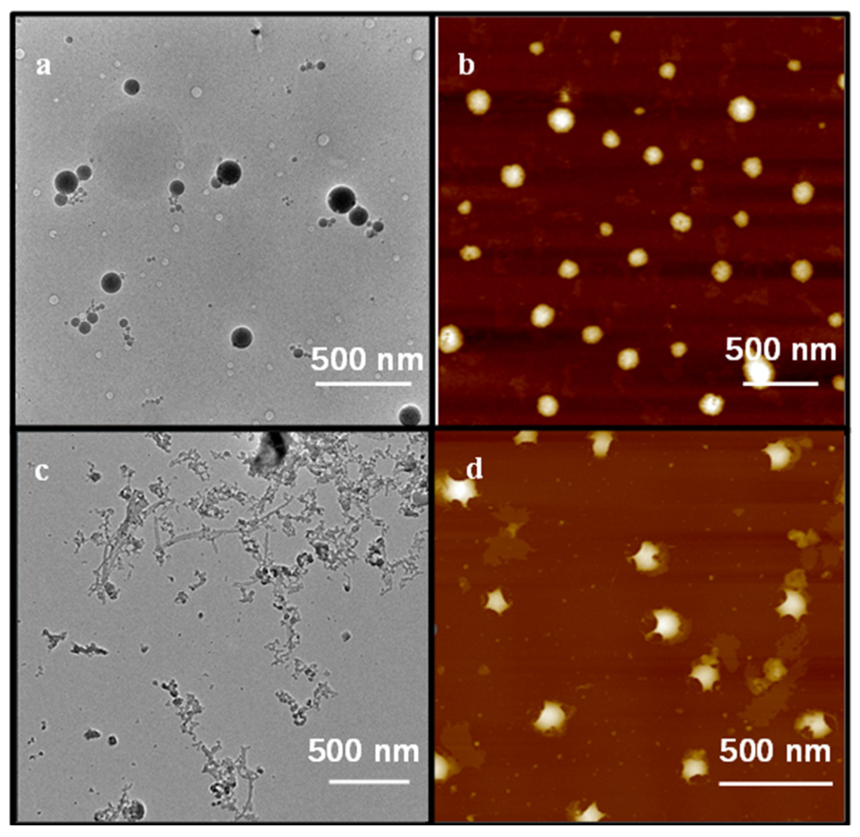 Bioengineering 13 00908 g002 Bioengineering 13 00908 g002