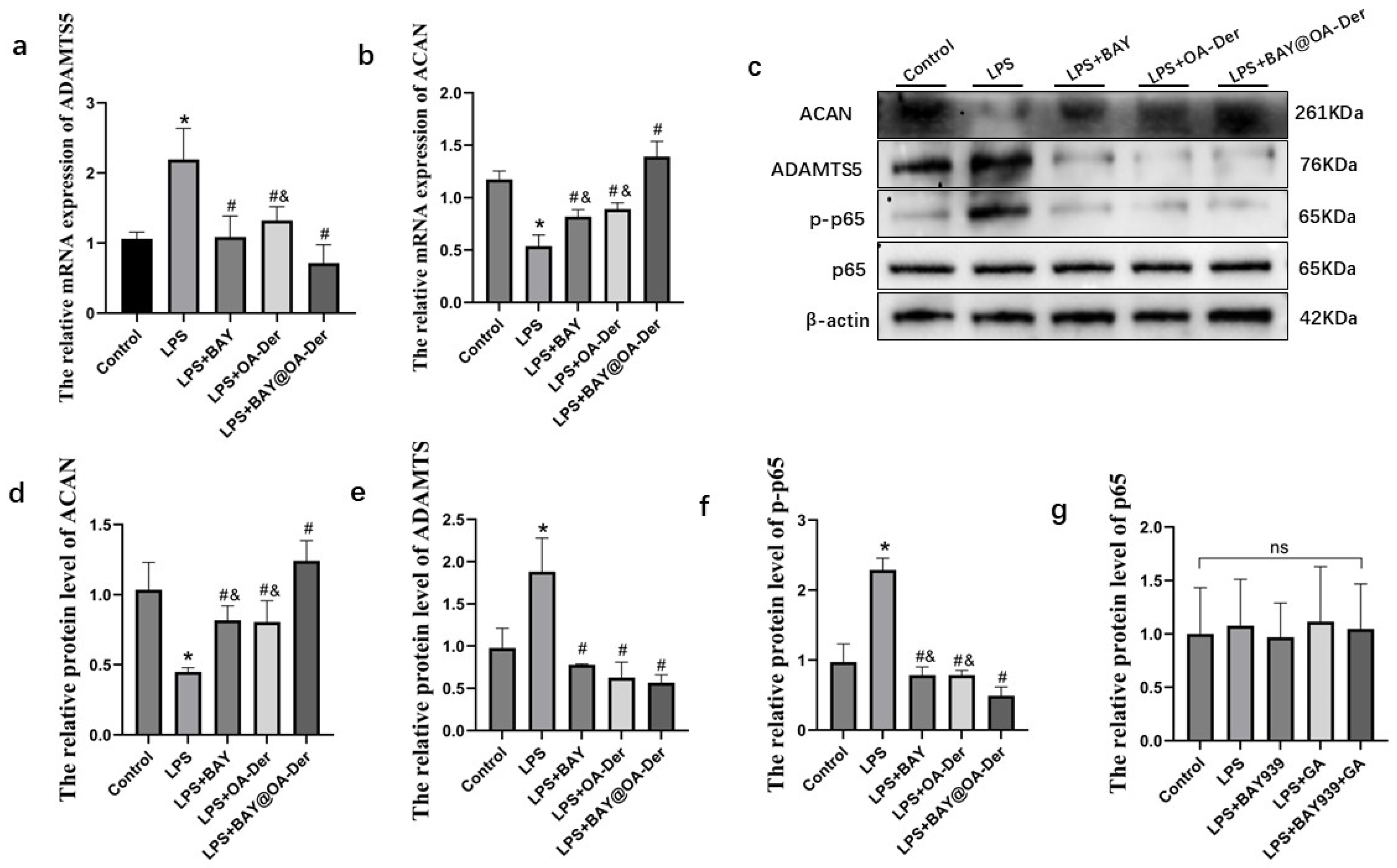 Bioengineering 13 00908 g004 Bioengineering 13 00908 g004