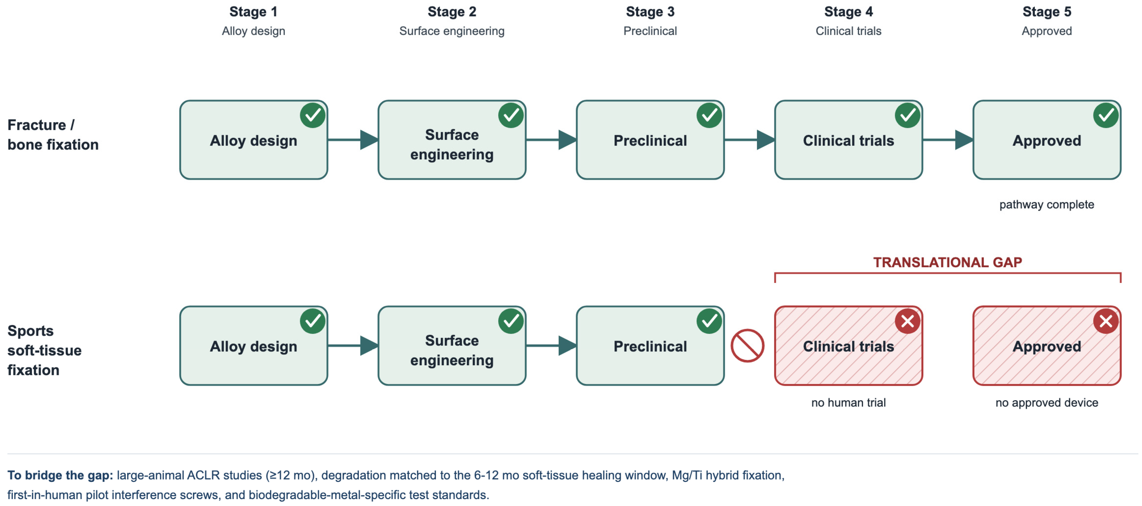 Bioengineering 13 00926 g006 Bioengineering 13 00926 g006