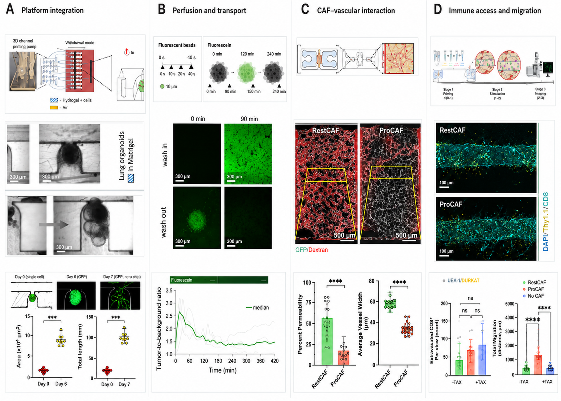 Bioengineering 13 00947 g004 Bioengineering 13 00947 g004