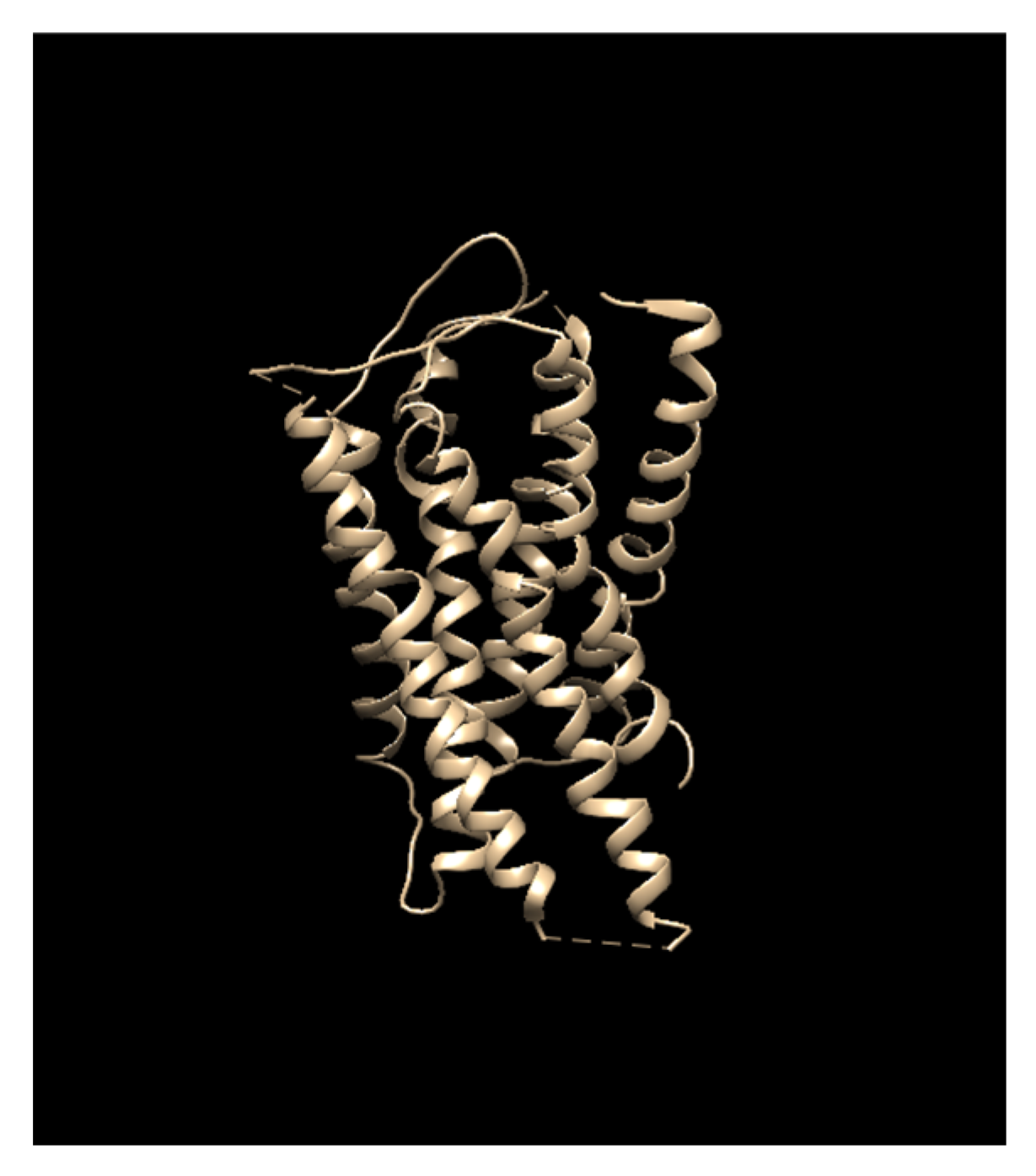 Bioengineering 13 00953 g005 Bioengineering 13 00953 g005